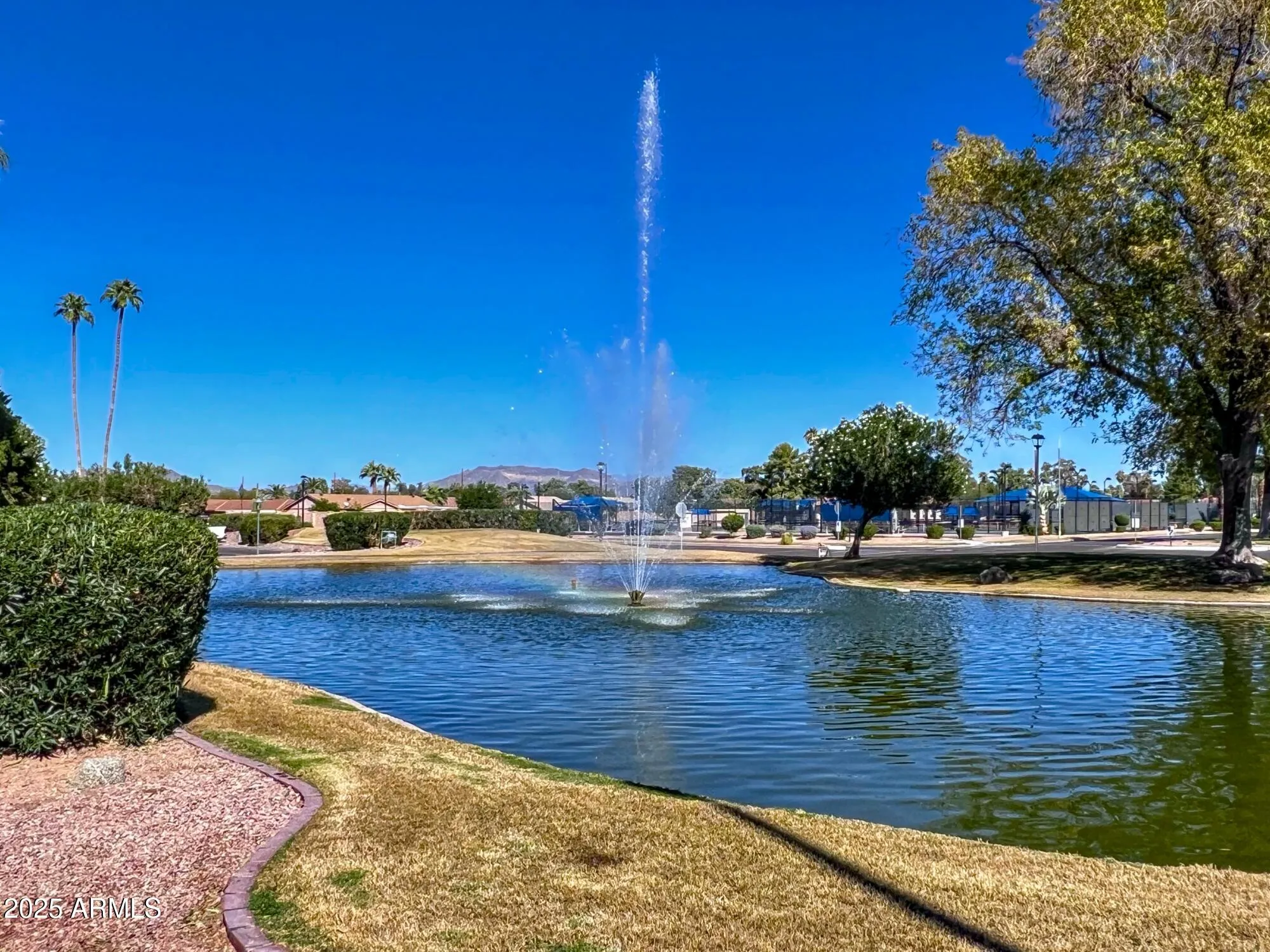 Property Slideshow image 52 of 68 | 416 leisure world, Mesa, AZ, 85206