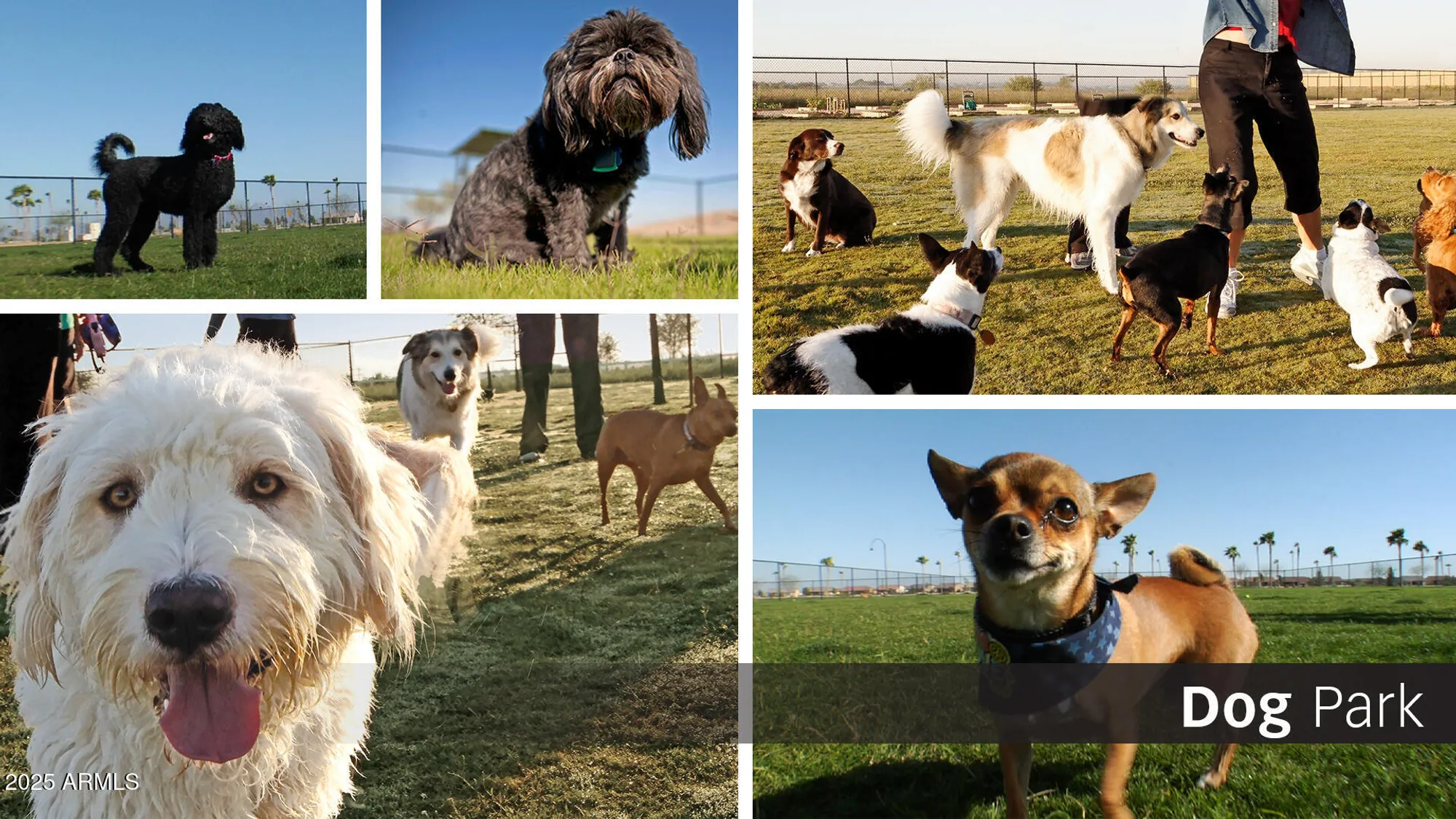 Property Slideshow image 12 of 14 | 5756 n oak creek dr, Eloy, AZ, 85131