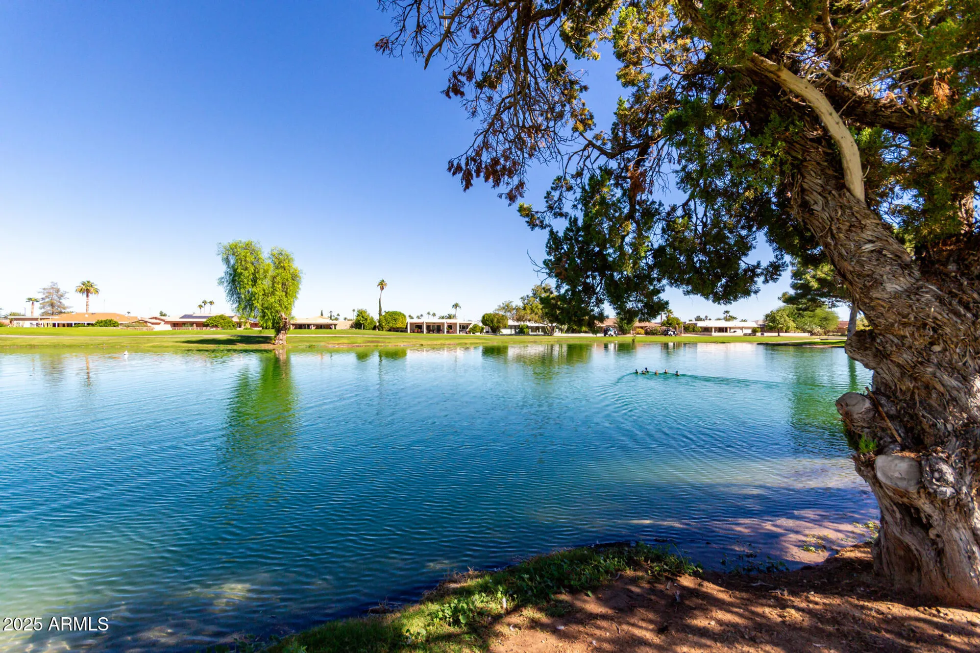 Property Slideshow image 35 of 41 | 9502 w indian hills dr, Sun City, AZ, 85351