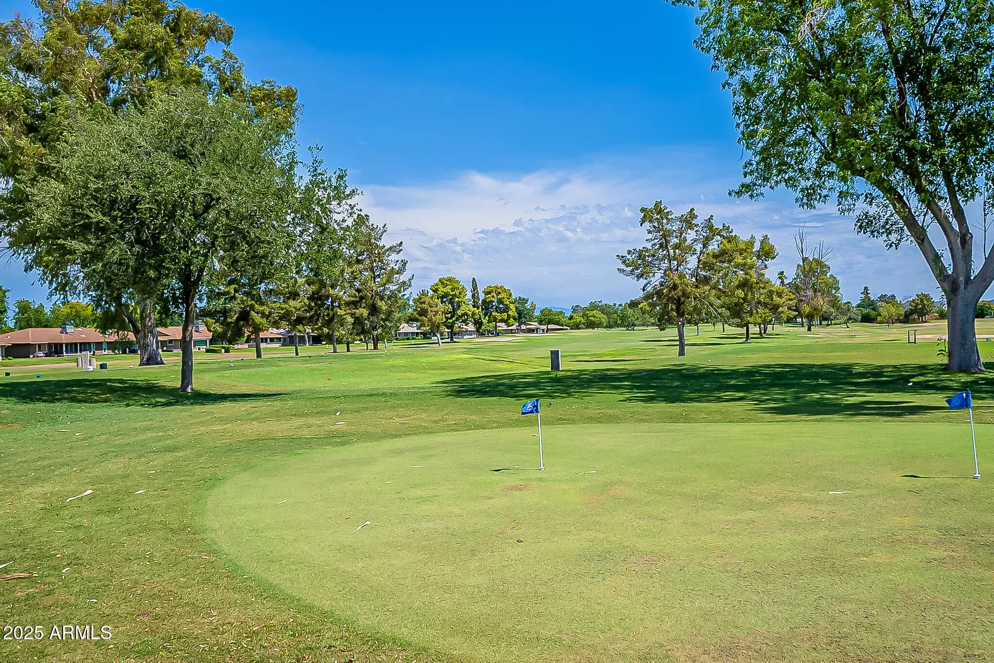 Property Slideshow image 24 of 25 | 10106 w campana dr, Sun City, AZ, 85351