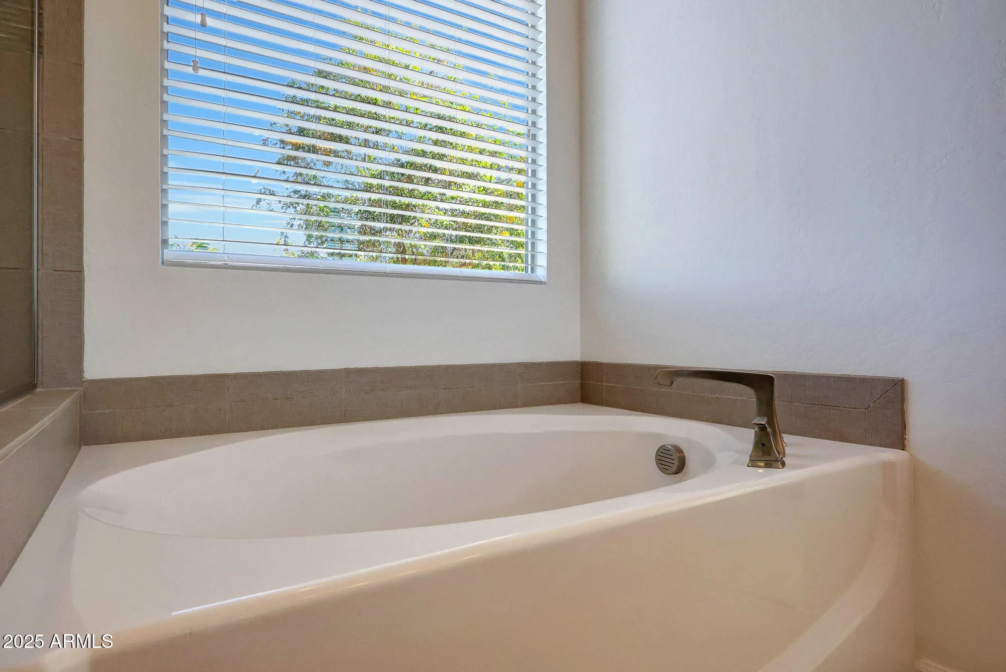 Property Slideshow image 15 of 24 | 16907 w holly st, Goodyear, AZ, 85395