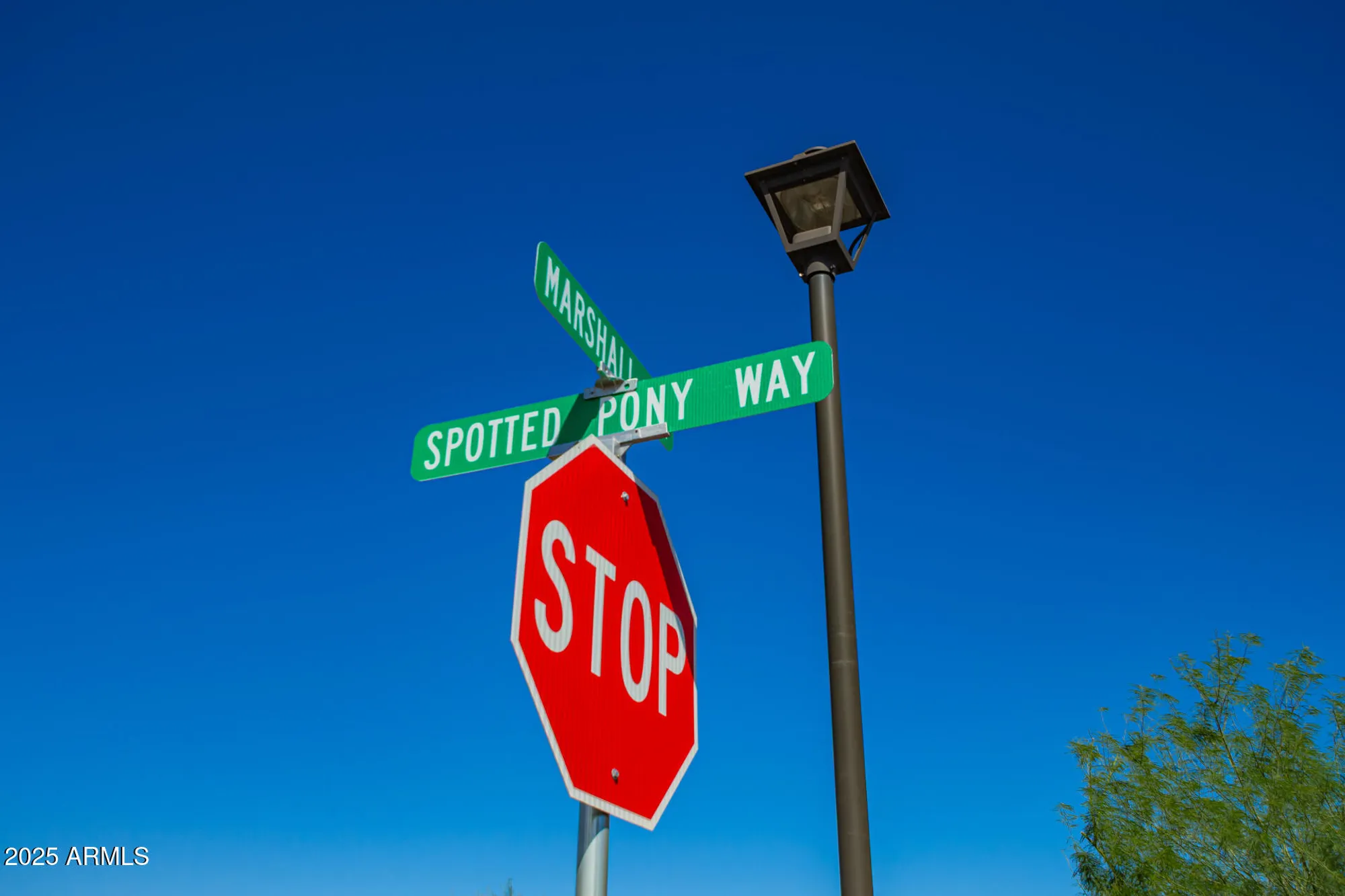 Property Slideshow image 40 of 51 | 4064 w spotted pony way, Eloy, AZ, 85131