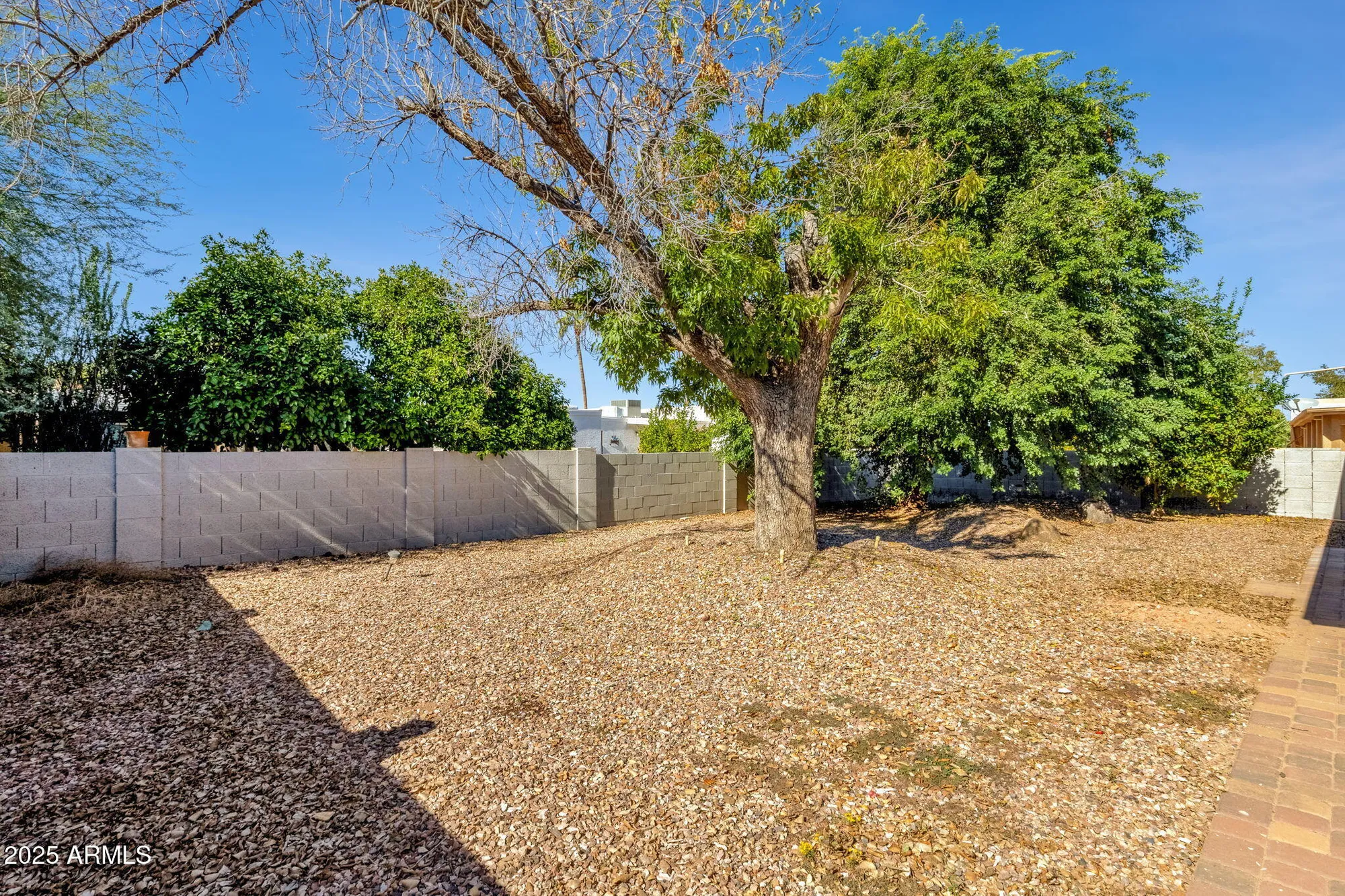 Property Slideshow image 46 of 62 | 9311 e olive ln, Sun Lakes, AZ, 85248