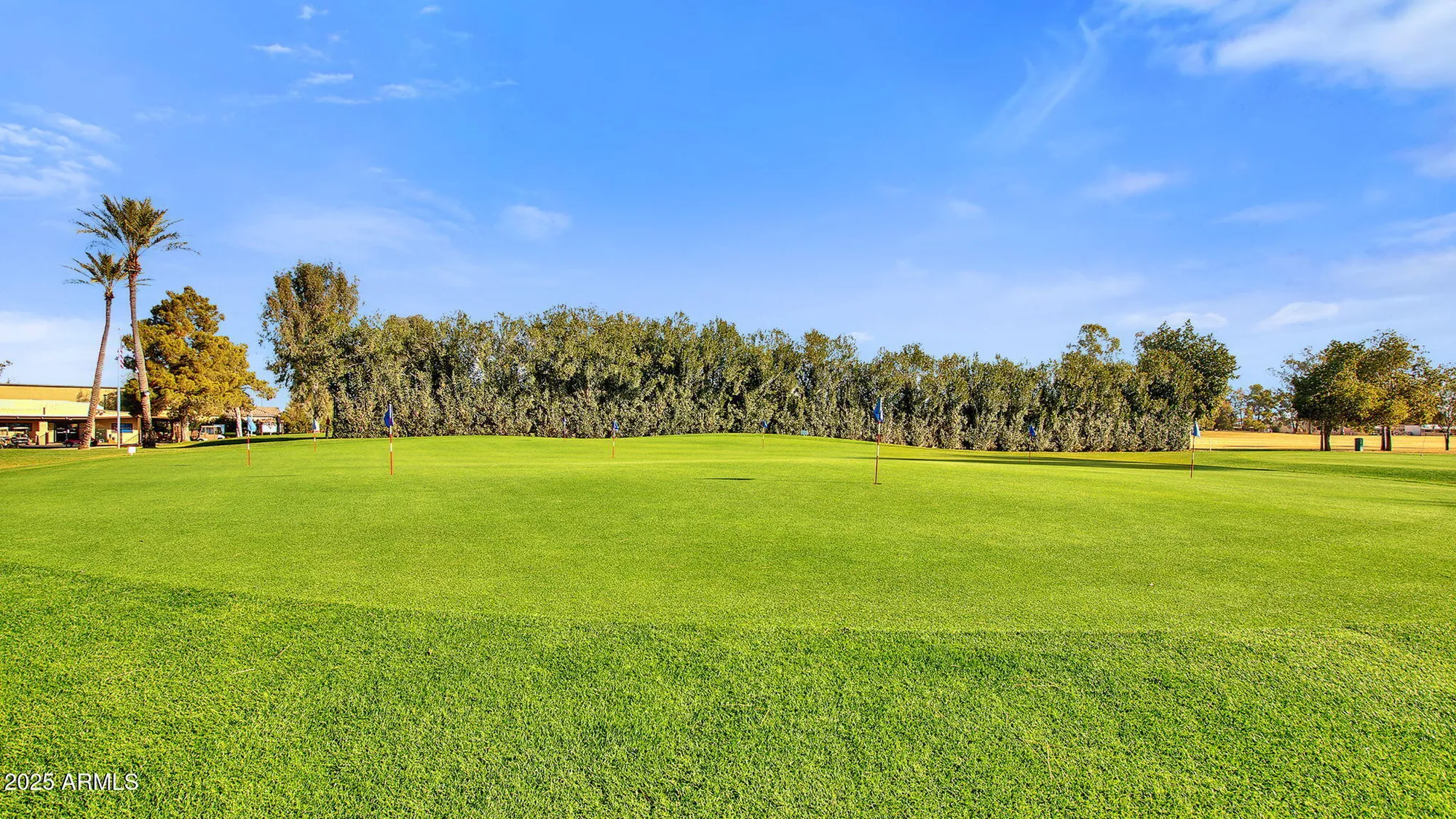 Property Slideshow image 52 of 62 | 9311 e olive ln, Sun Lakes, AZ, 85248