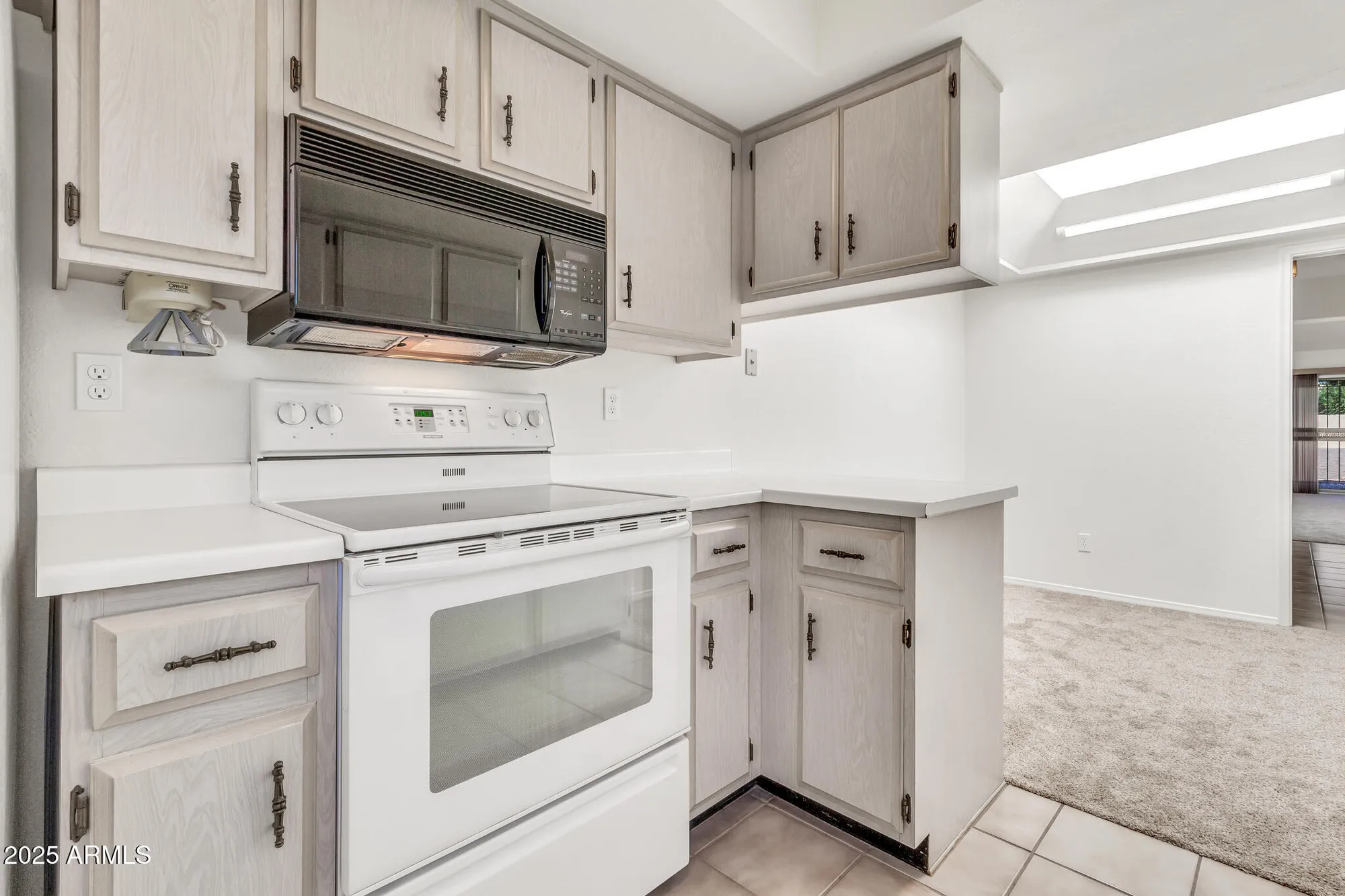 Property Slideshow image 18 of 46 | 9834 e minnesota ave, Sun Lakes, AZ, 85248