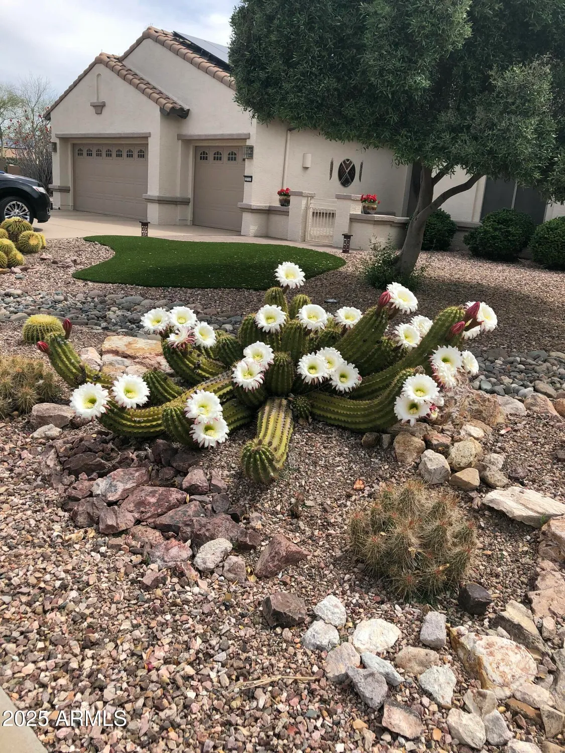 Property Slideshow image 64 of 64 | 2733 n 164th ave, Goodyear, AZ, 85395