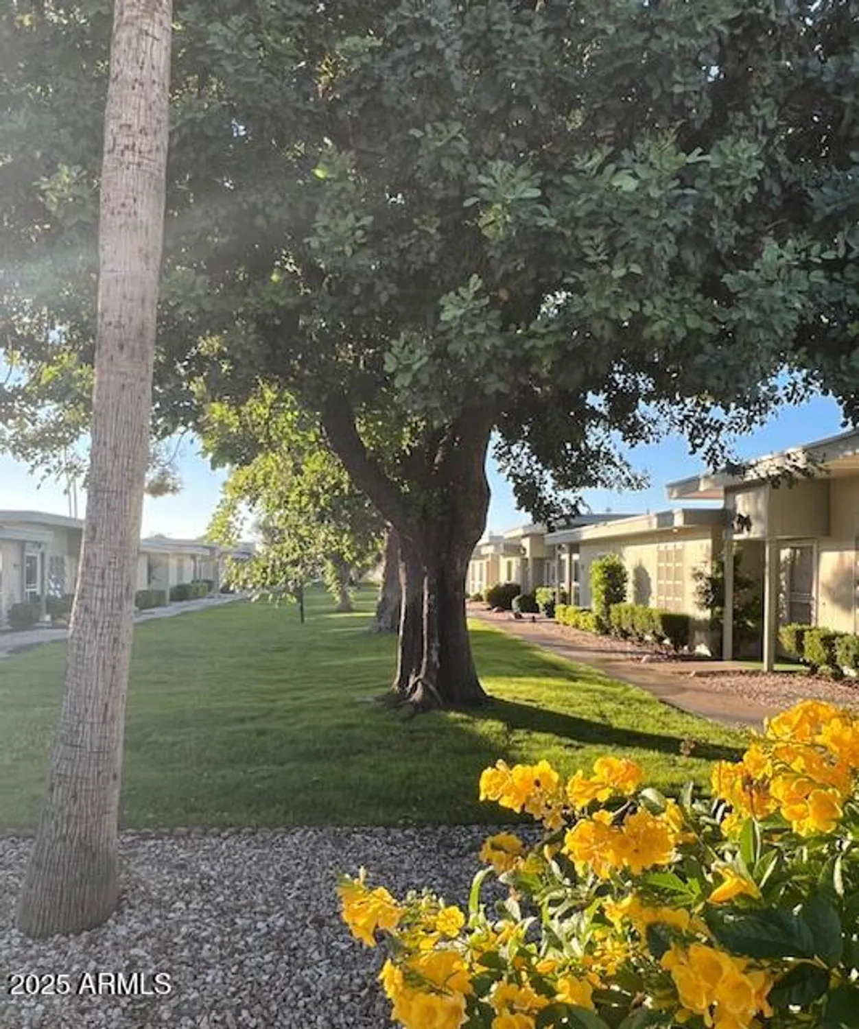 Property Slideshow image 15 of 23 | 13018 n 99th dr, Sun City, AZ, 85351