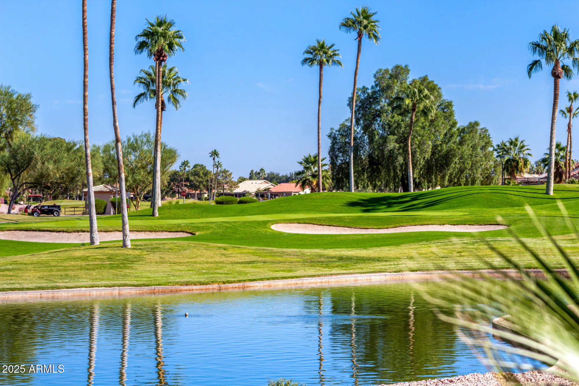 Property Slideshow image 1 of 54 | 9020 e cedar waxwing dr, Sun Lakes, AZ, 85248