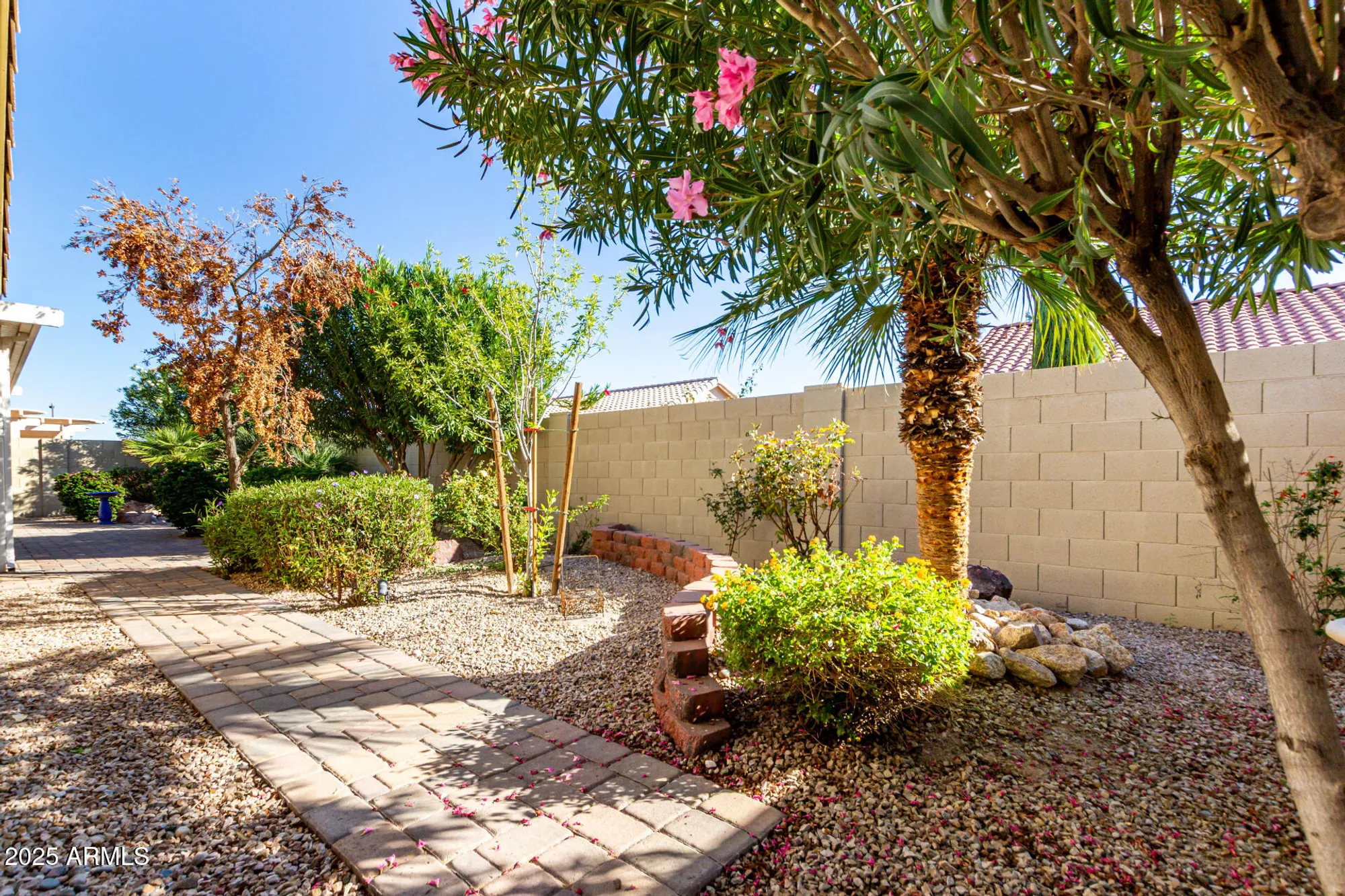Property Slideshow image 31 of 47 | 1423 e peach tree dr, Chandler, AZ, 85249