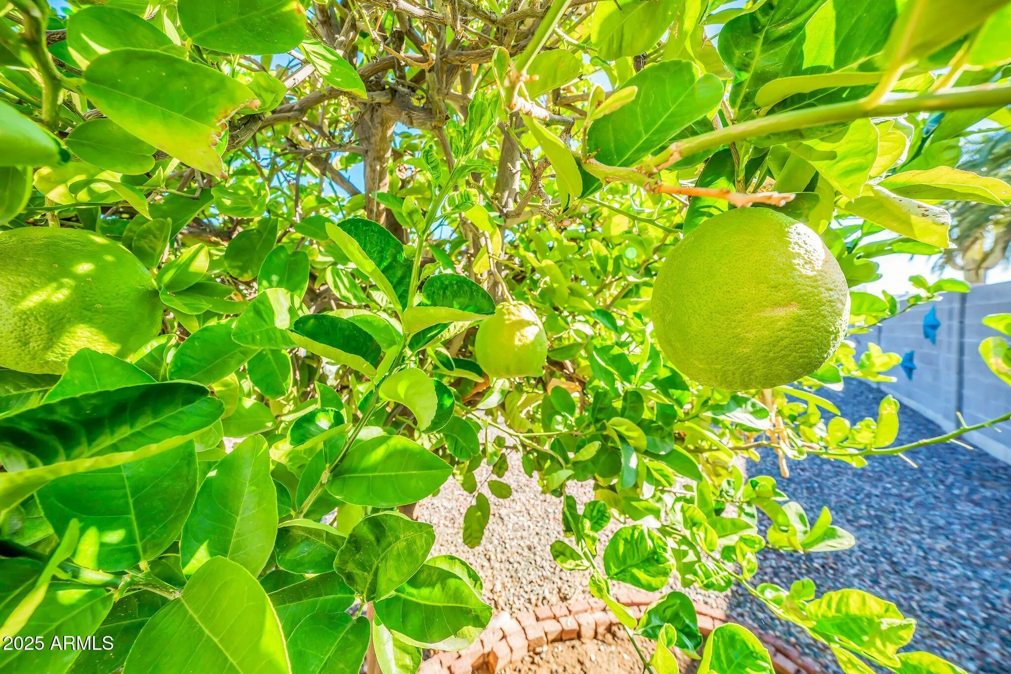 Property Slideshow image 31 of 37 | 10517 w cumberland dr, Sun City, AZ, 85351