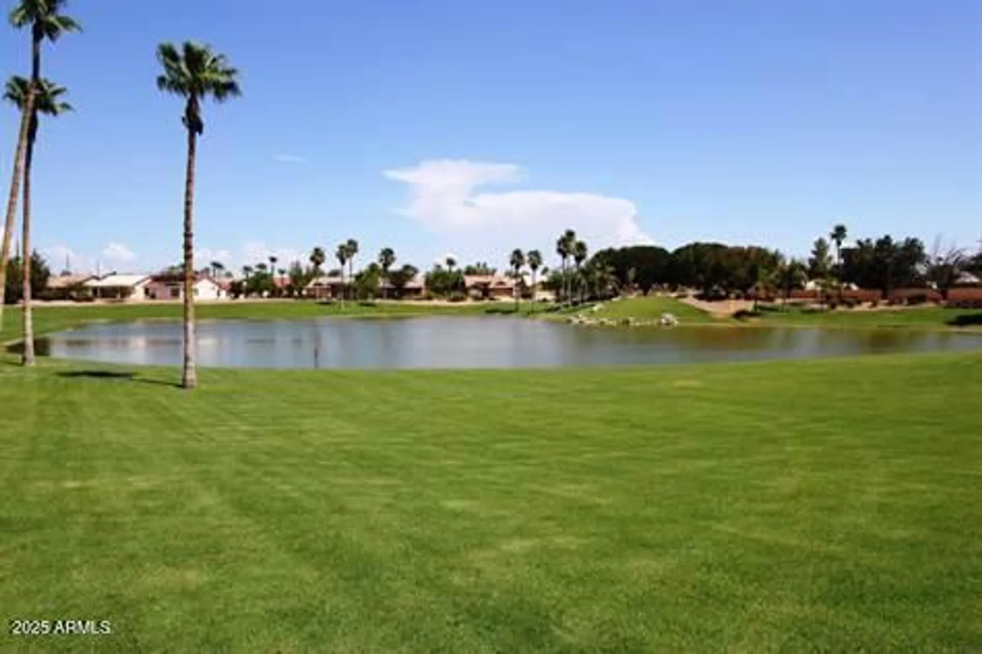Property Slideshow image 44 of 45 | 9119 e olive ln, Sun Lakes, AZ, 85248