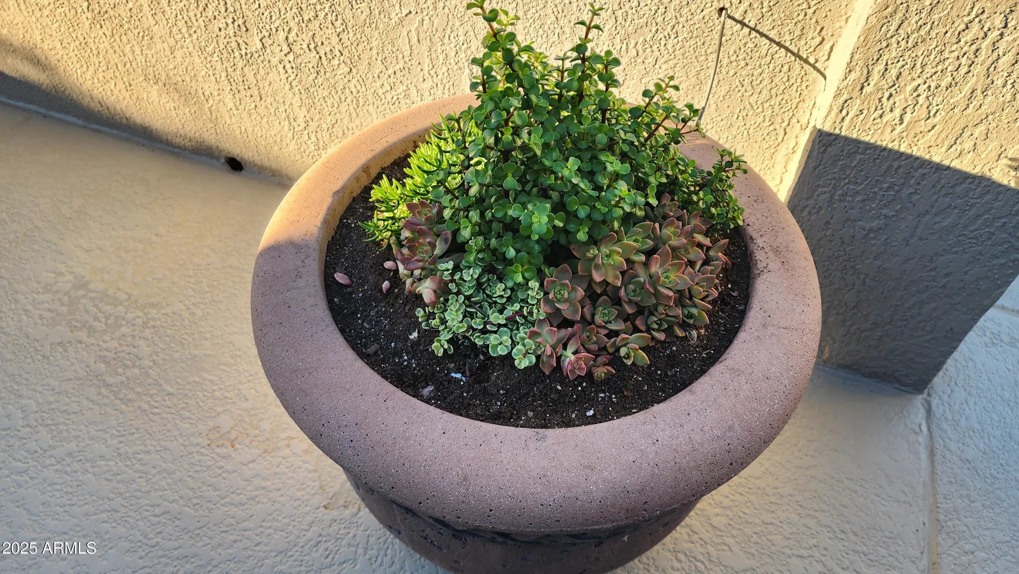 Property Slideshow image 30 of 42 | 15313 w pantano dr, Surprise, AZ, 85374