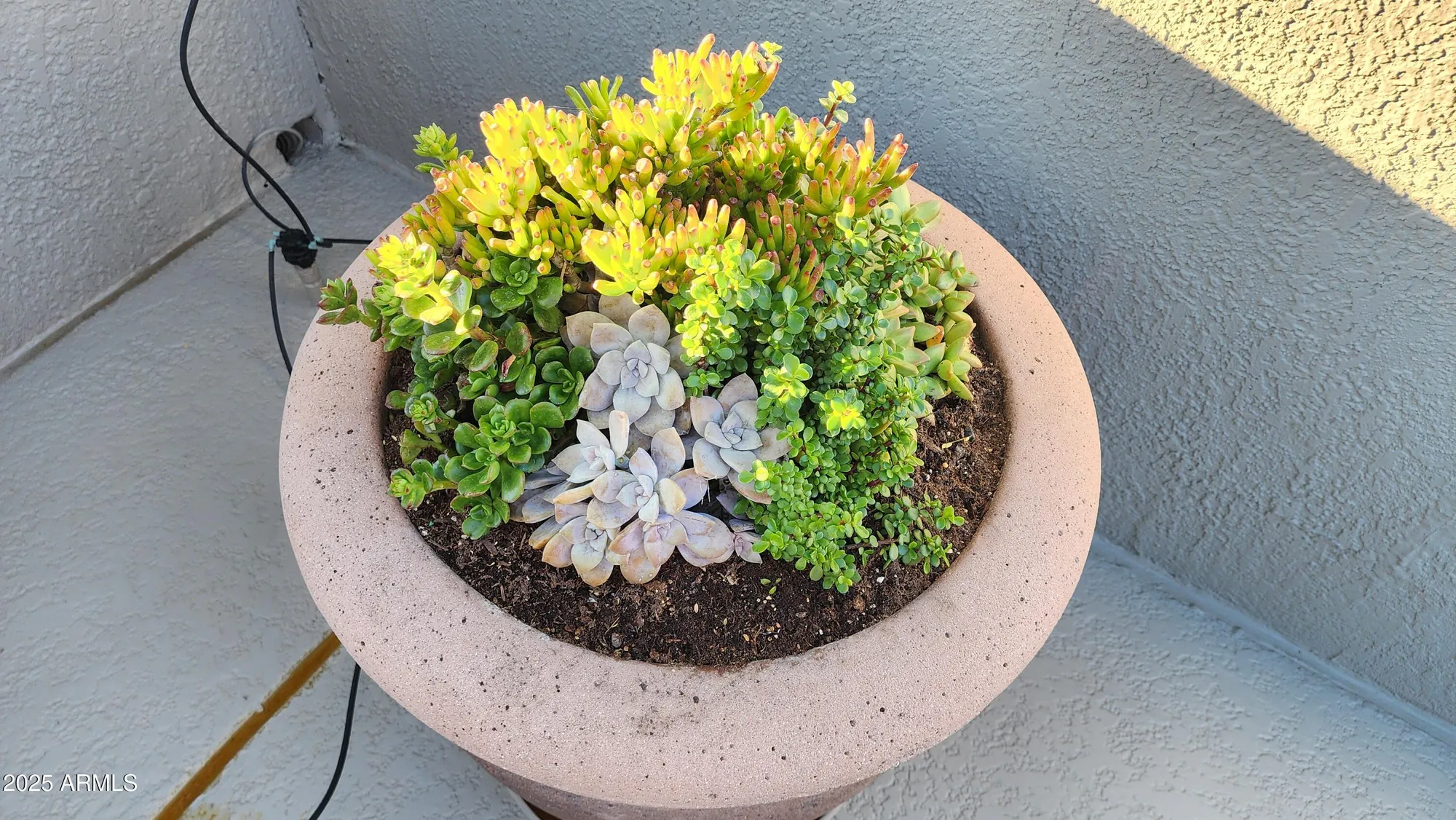 Property Slideshow image 31 of 42 | 15313 w pantano dr, Surprise, AZ, 85374