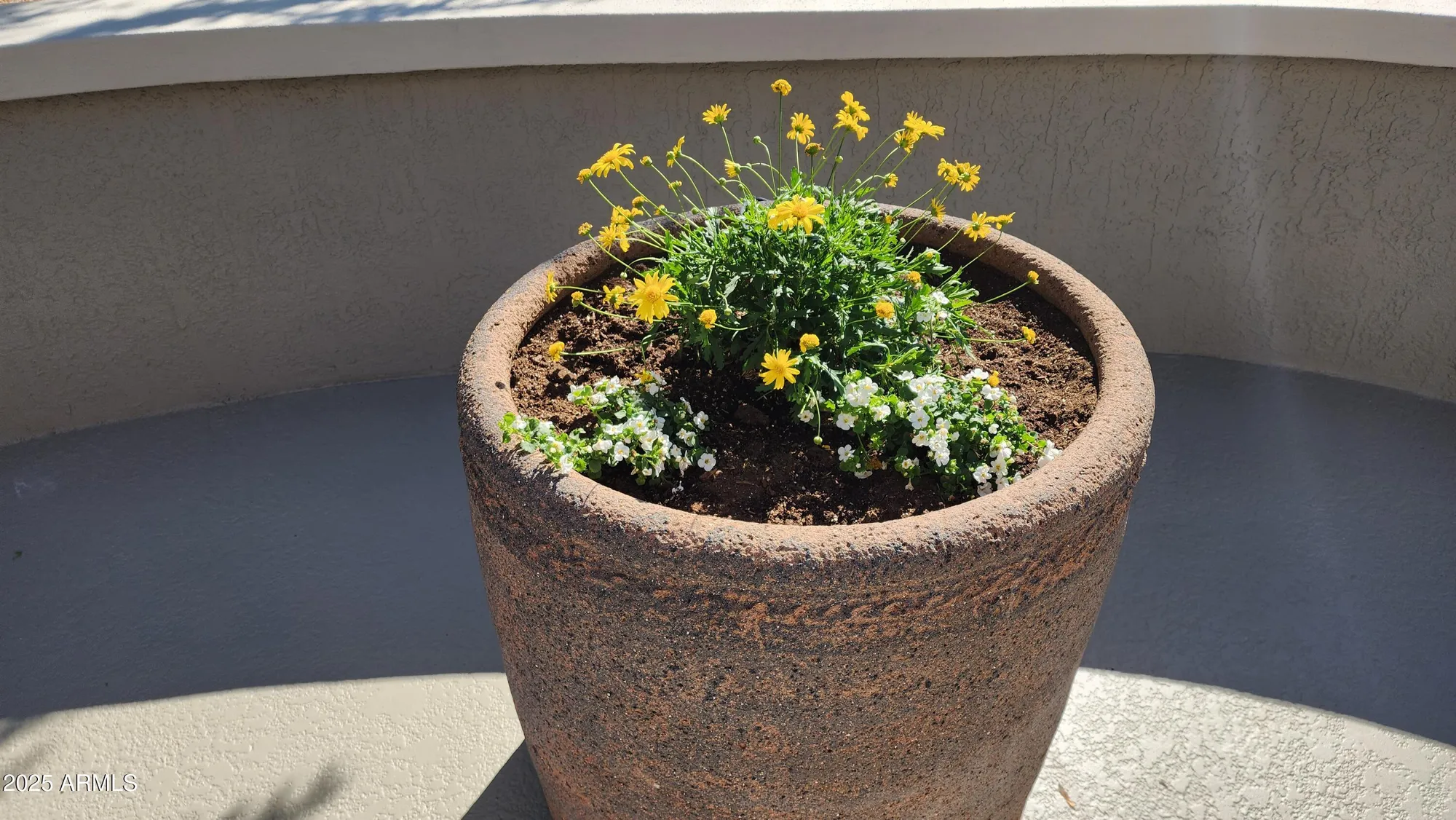 Property Slideshow image 32 of 42 | 15313 w pantano dr, Surprise, AZ, 85374