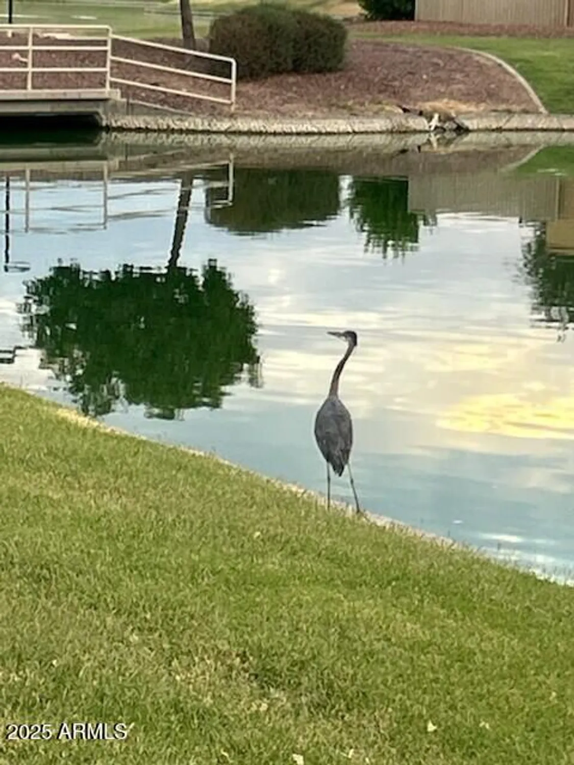 Property Slideshow image 93 of 96 | 16343 s 178th dr, Goodyear, AZ, 85338