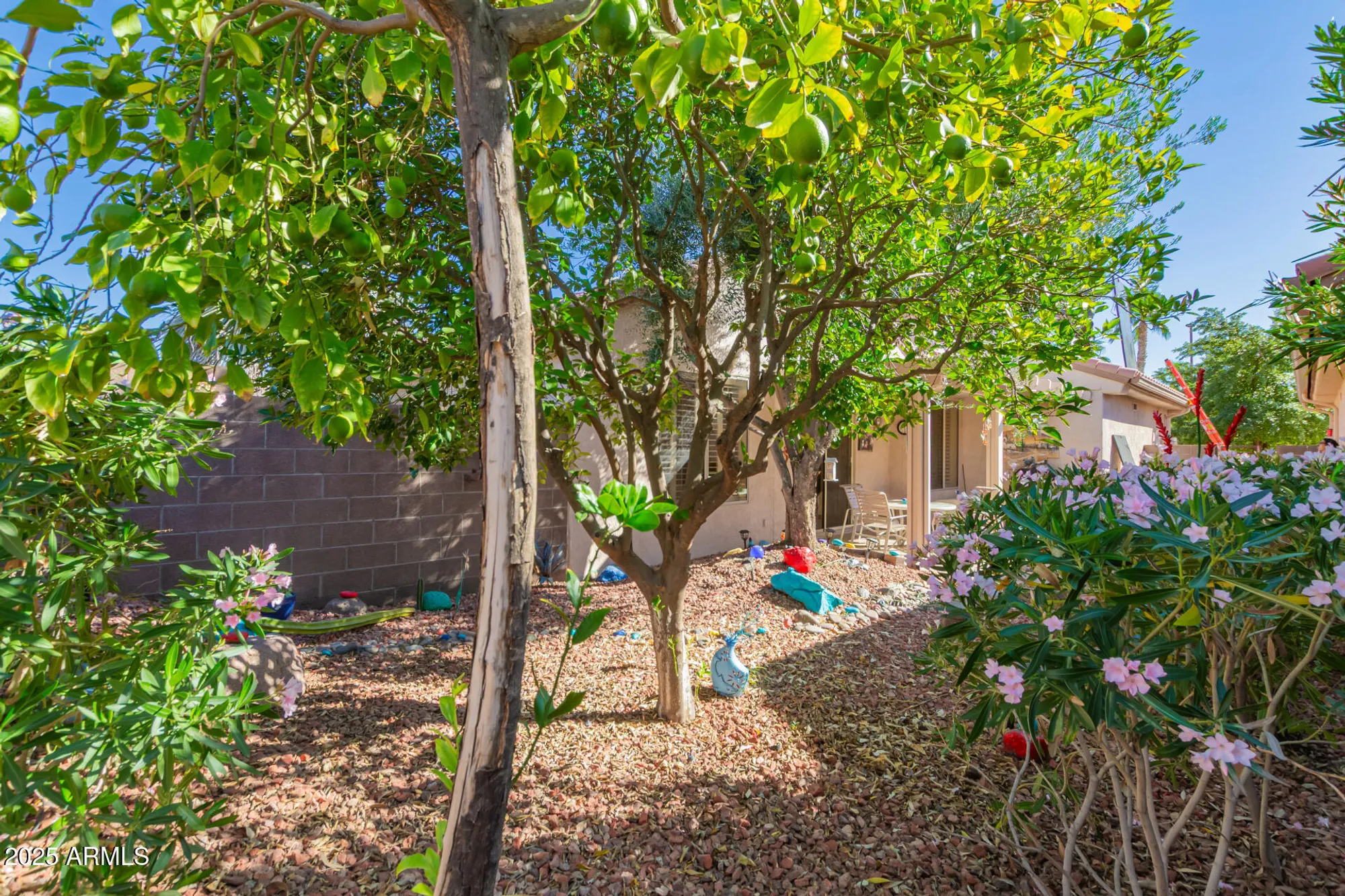 Property Slideshow image 25 of 27 | 20230 n sundance way, Surprise, AZ, 85374