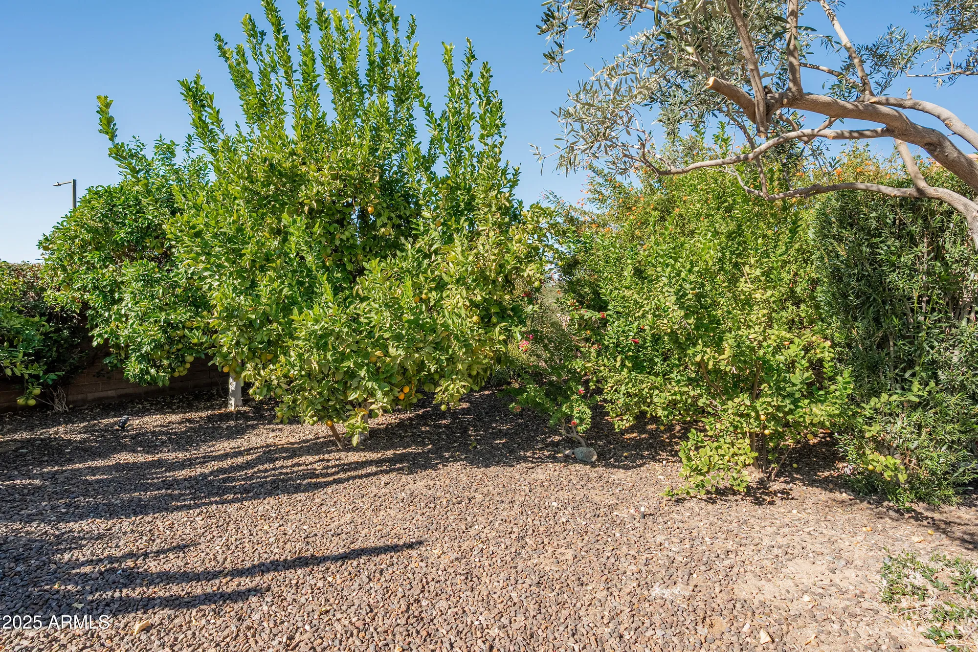 Property Slideshow image 25 of 45 | 29412 n 130th gln, Peoria, AZ, 85383