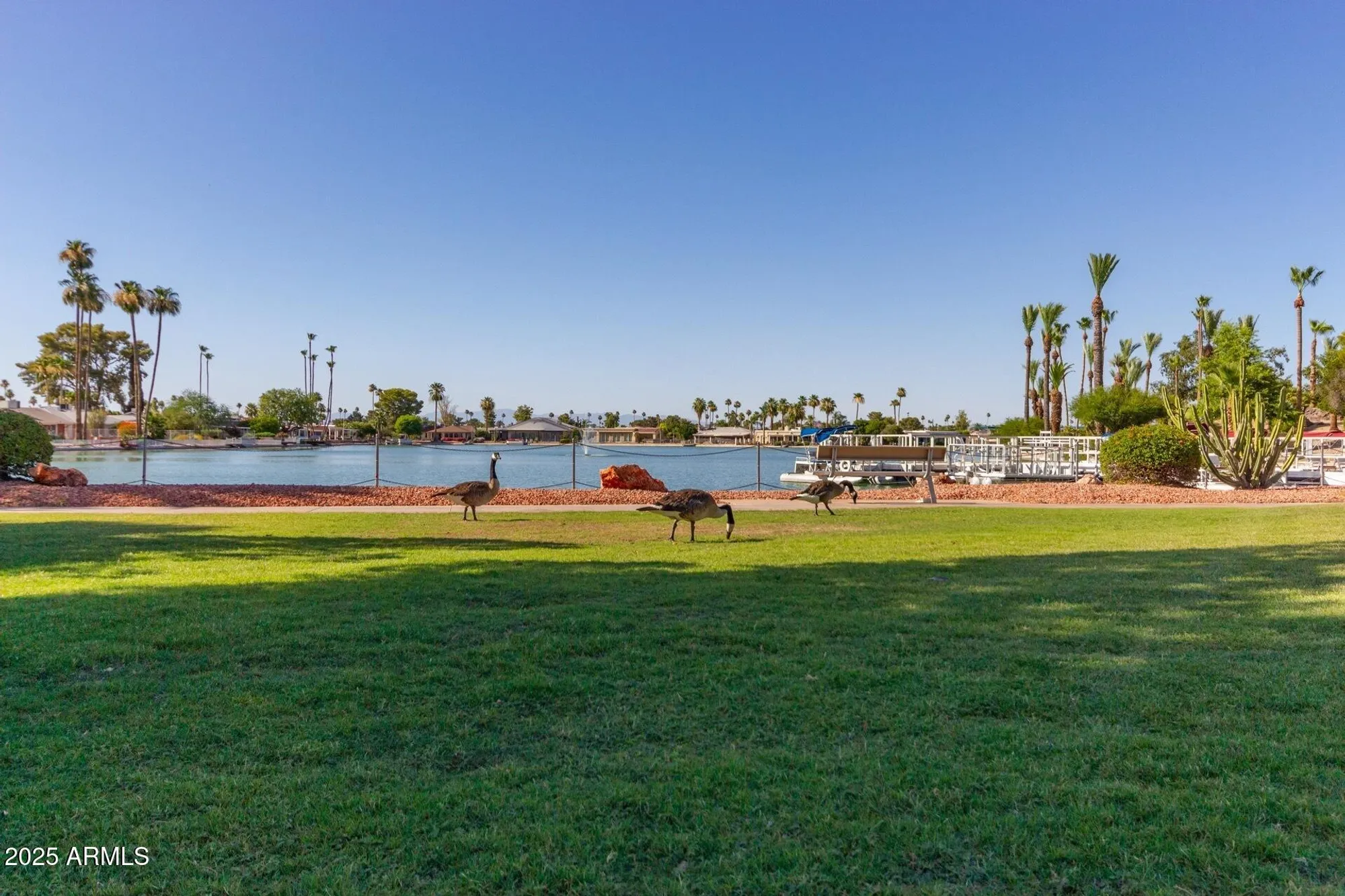 Property Slideshow image 78 of 93 | 17819 n del webb blvd, Sun City, AZ, 85373