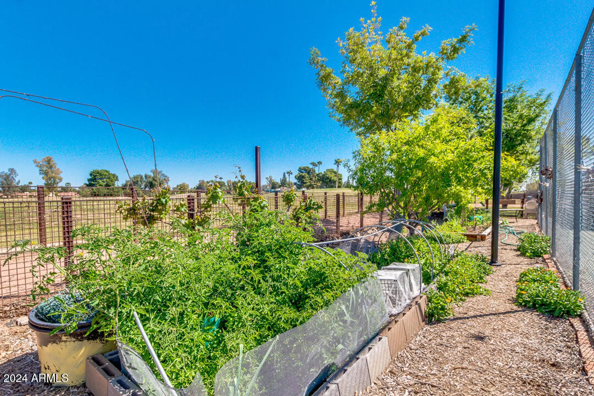 Property Slideshow image 81 of 86 | 12326 s shoshoni dr, Phoenix, AZ, 85044