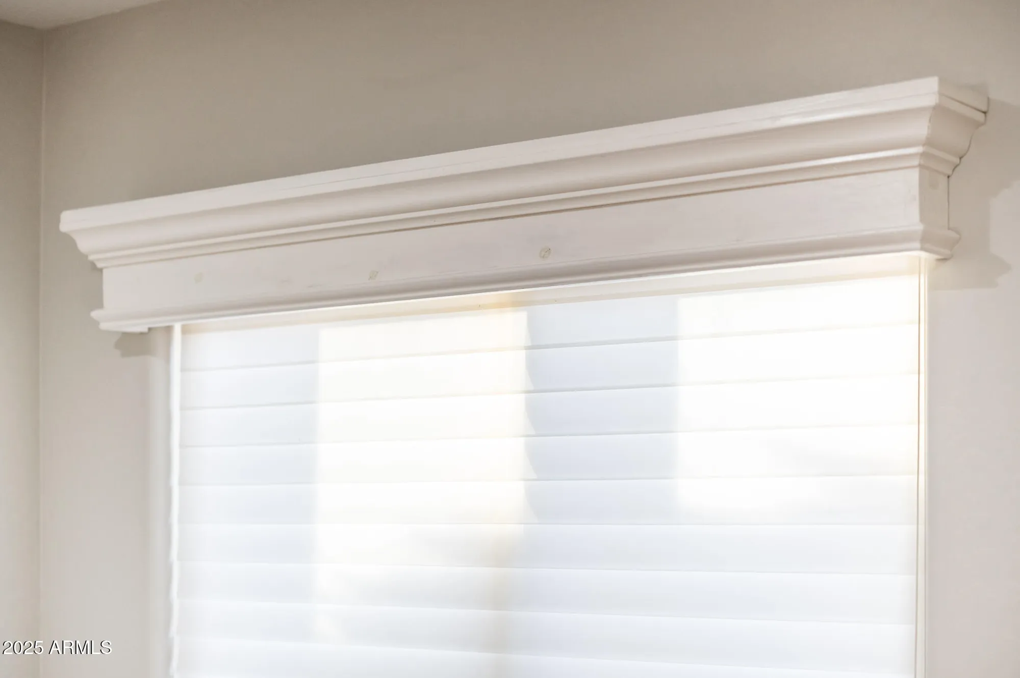 Property Slideshow image 78 of 107 | 22807 n las positas dr, Sun City West, AZ, 85375