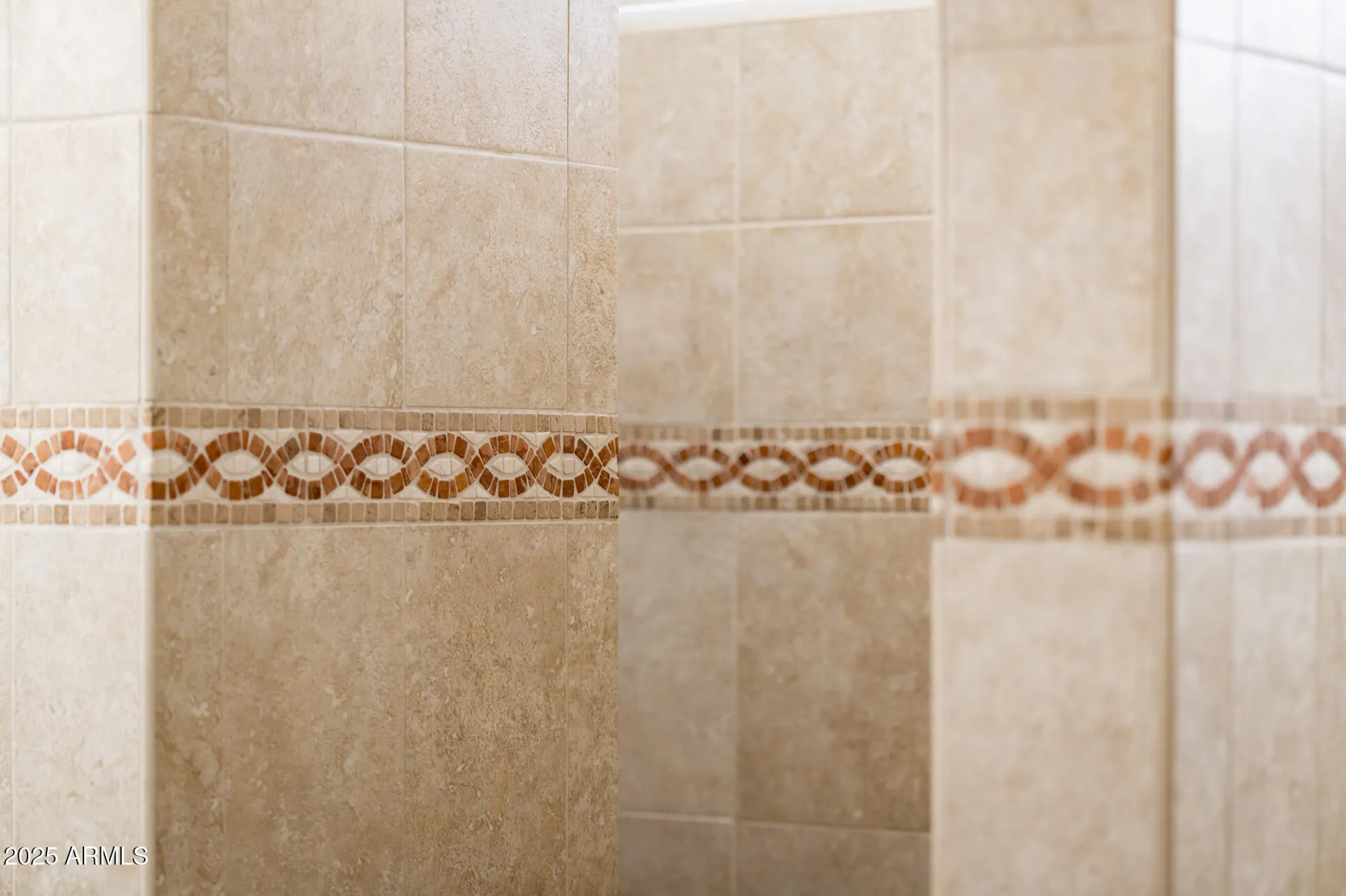 Property Slideshow image 82 of 107 | 22807 n las positas dr, Sun City West, AZ, 85375