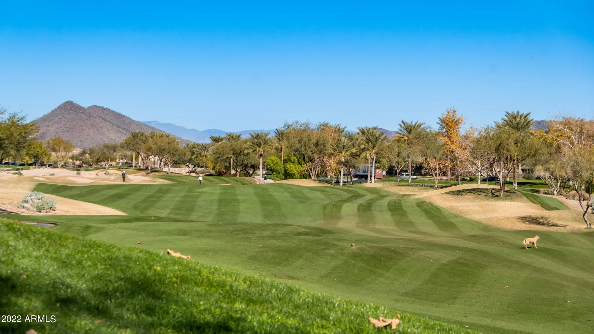 Property Slideshow image 108 of 111 | 27789 n 129th ln, Peoria, AZ, 85383