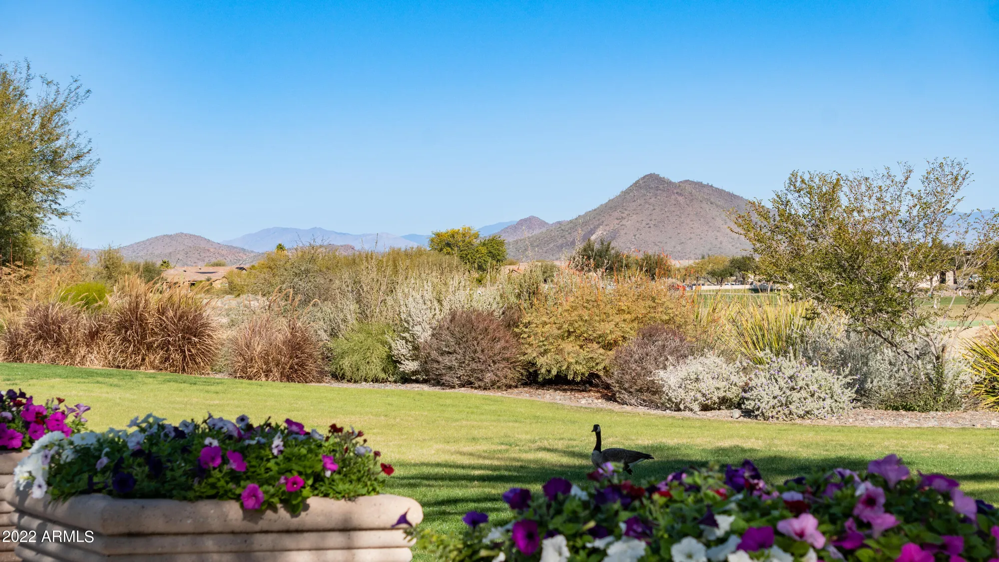 Property Slideshow image 99 of 111 | 27789 n 129th ln, Peoria, AZ, 85383