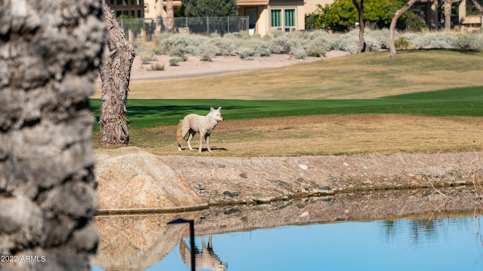 Property Slideshow image 101 of 111 | 27789 n 129th ln, Peoria, AZ, 85383