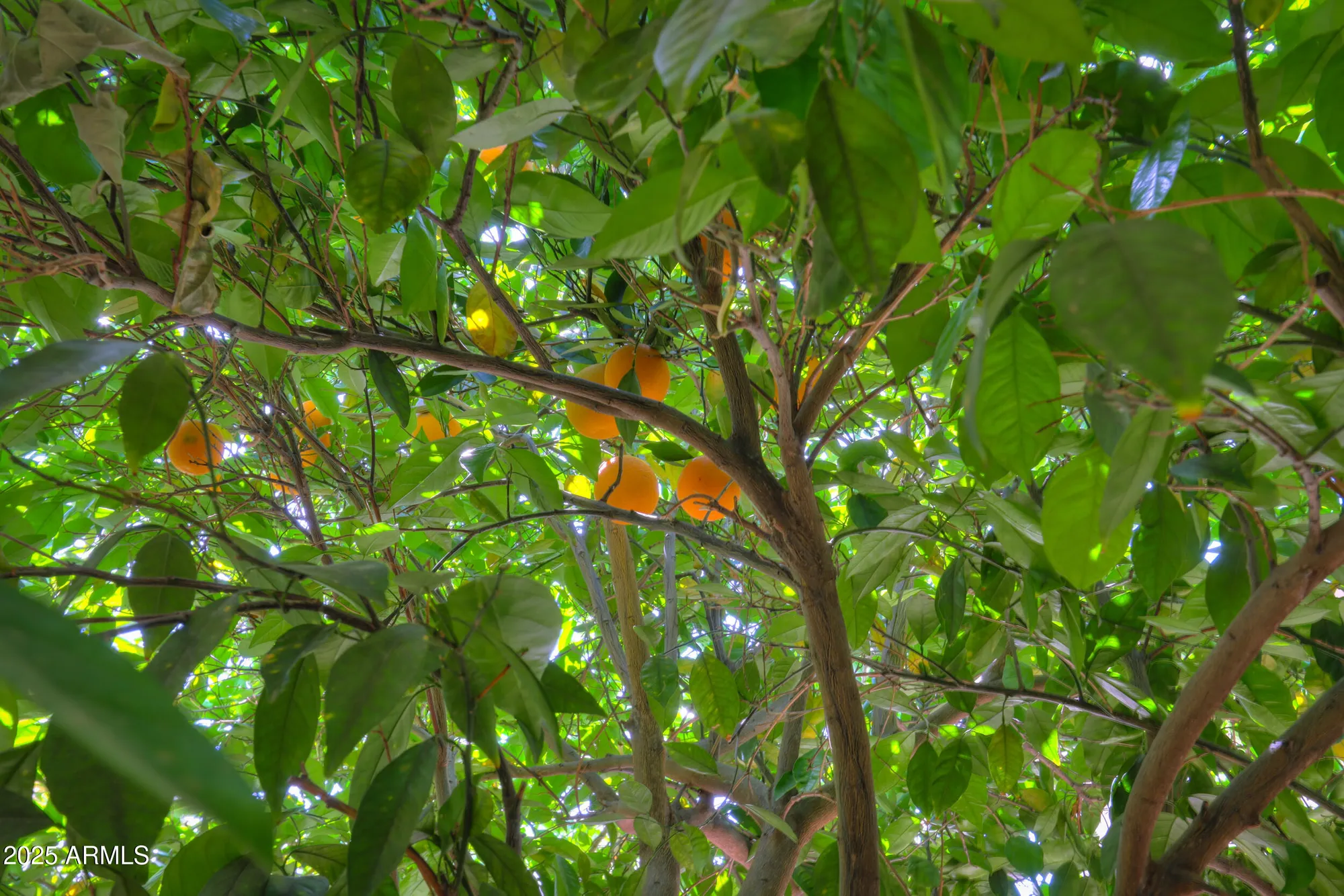 Property Slideshow image 45 of 59 | 30 s mesilla ln, Casa Grande, AZ, 85194