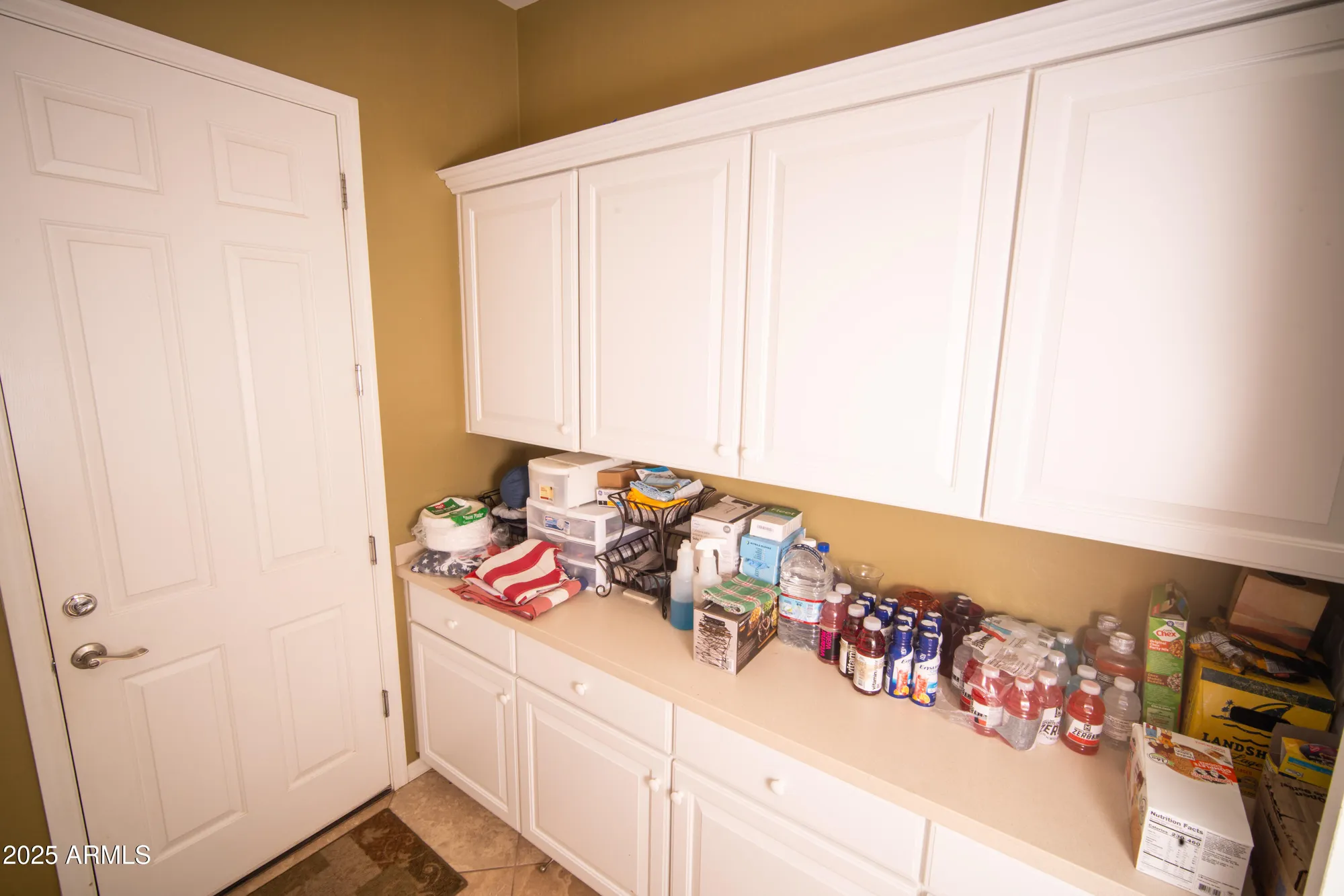 Property Slideshow image 29 of 49 | 20257 n 262nd dr, Buckeye, AZ, 85396