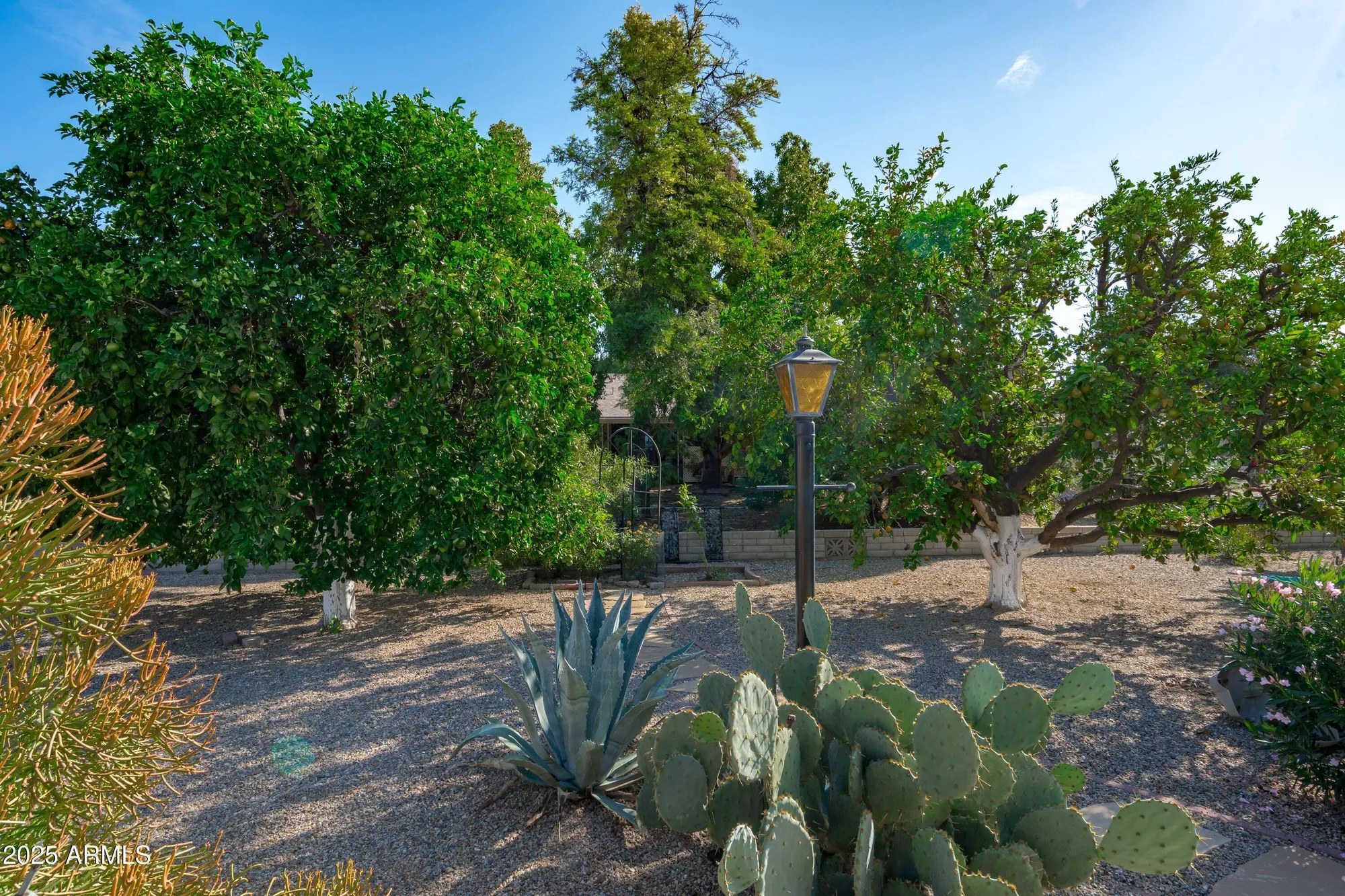 Property Slideshow image 33 of 39 | 18415 n 97th dr, Sun City, AZ, 85373