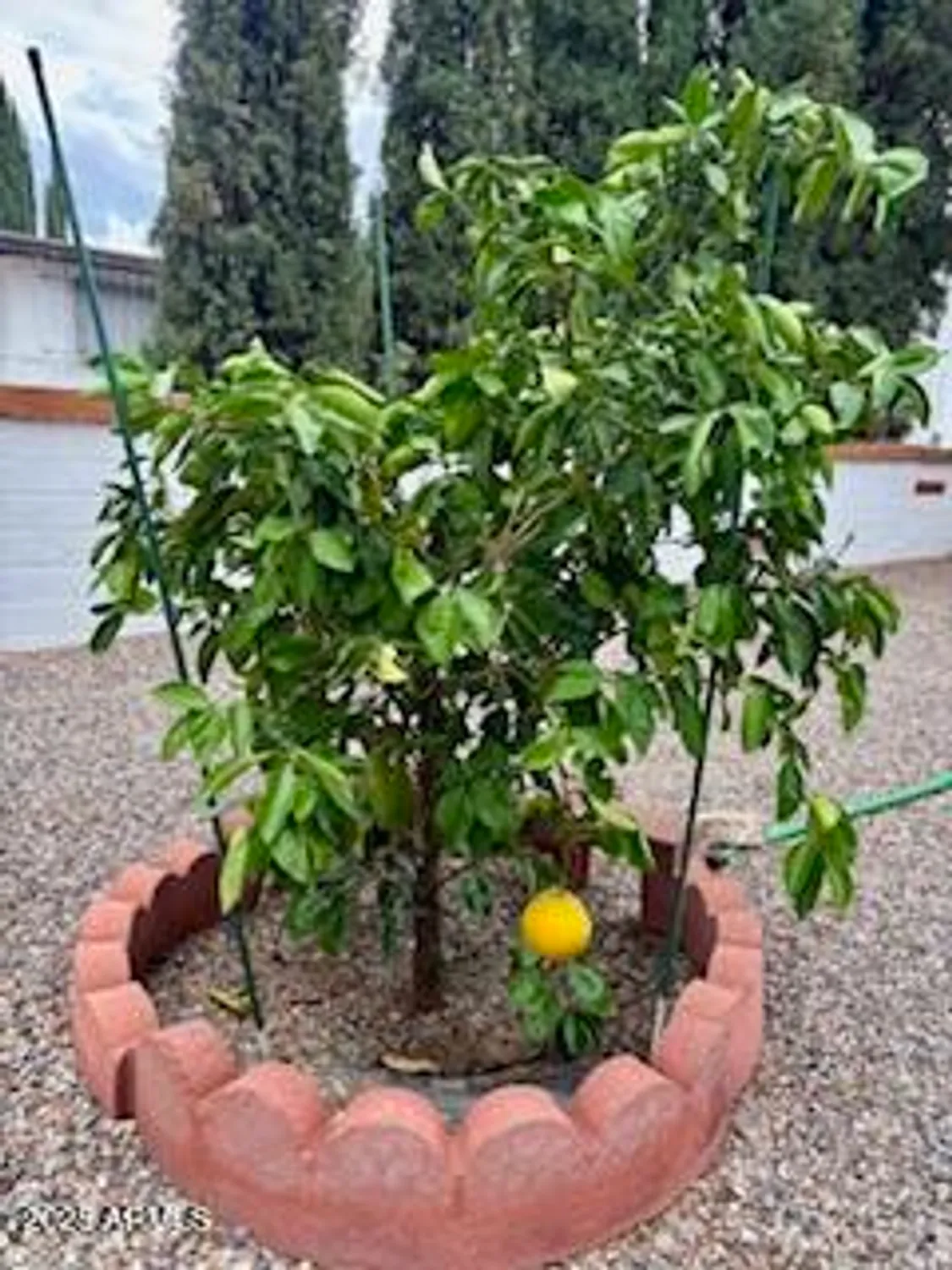 Property Slideshow image 10 of 48 | 91 e los mangos, Green Valley, AZ, 85614