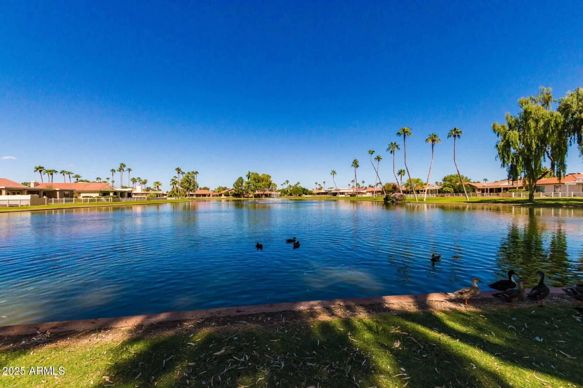 Property Slideshow image 32 of 38 | 26422 s new town dr, Sun Lakes, AZ, 85248