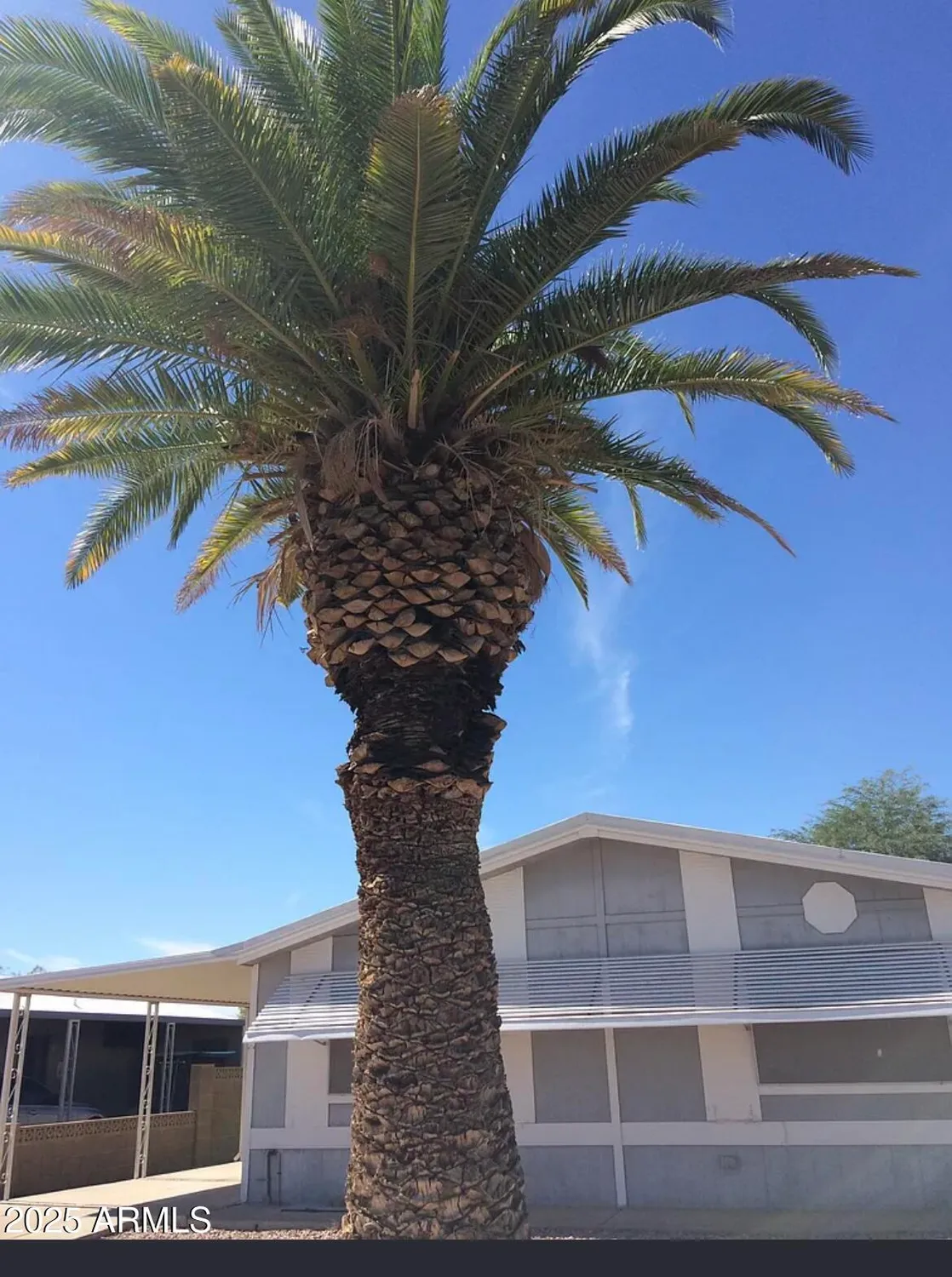 Property Slideshow image 6 of 36 | 26618 s maricopa pl, Sun Lakes, AZ, 85248