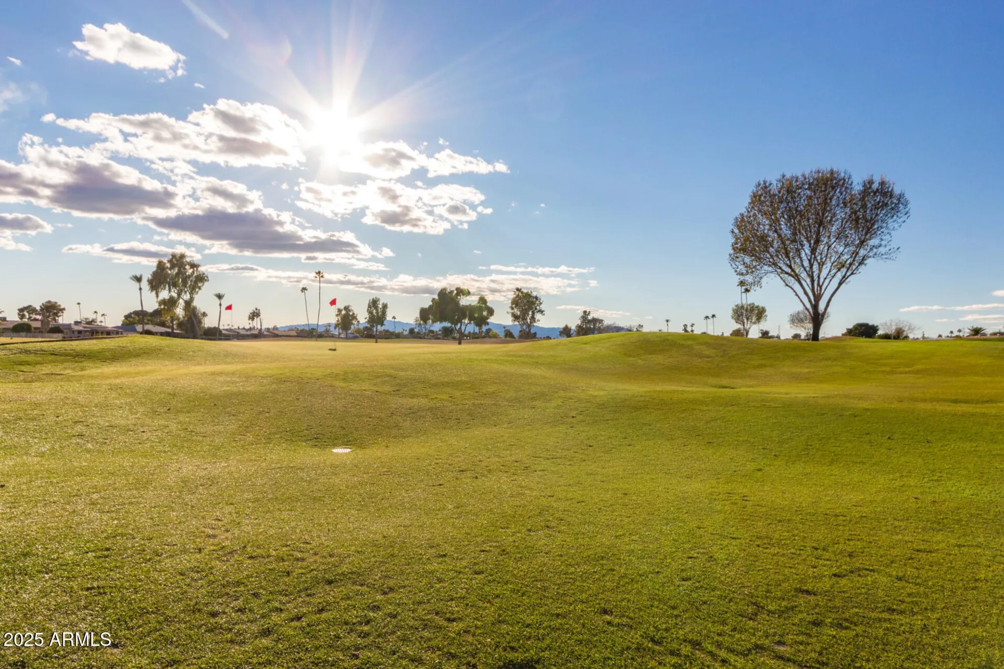 Property Slideshow image 33 of 35 | 10528 w oak ridge dr, Sun City, AZ, 85351