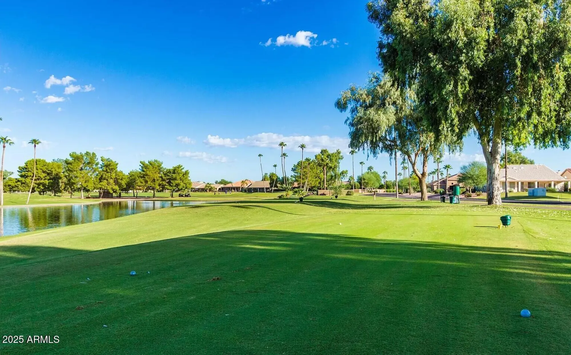 Property Slideshow image 70 of 124 | 9425 e sunridge dr, Sun Lakes, AZ, 85248