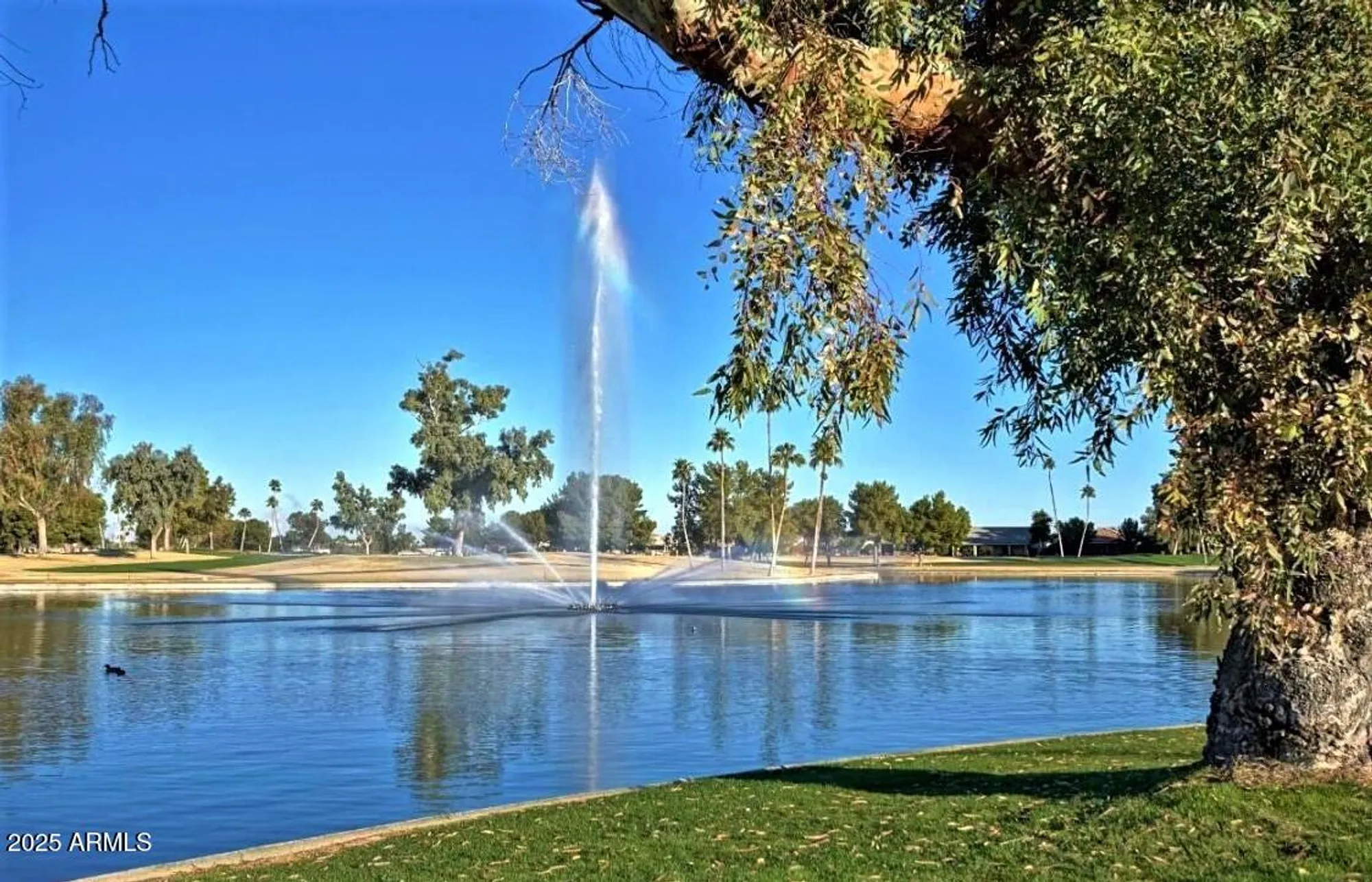 Property Slideshow image 101 of 124 | 9425 e sunridge dr, Sun Lakes, AZ, 85248