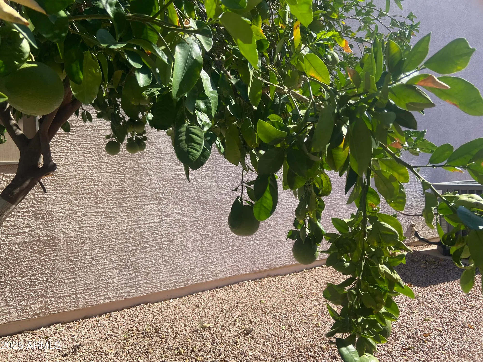 Property Slideshow image 23 of 26 | 2101 s meridian rd lot 431, Apache Junction, AZ, 85120