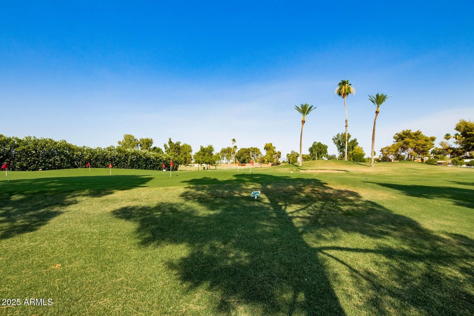 Property Slideshow image 43 of 52 | 9226 e sun lakes blvd, Sun Lakes, AZ, 85248