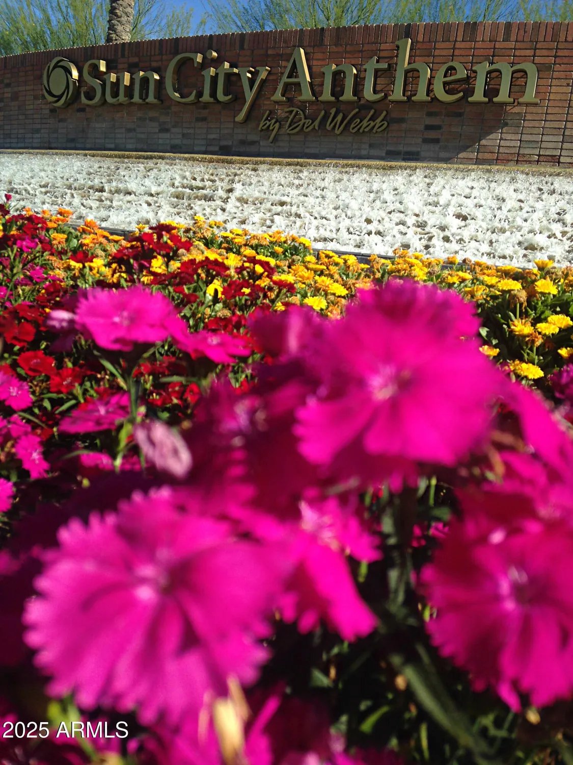 Property Slideshow image 47 of 92 | 4290 n presidio dr, Florence, AZ, 85132