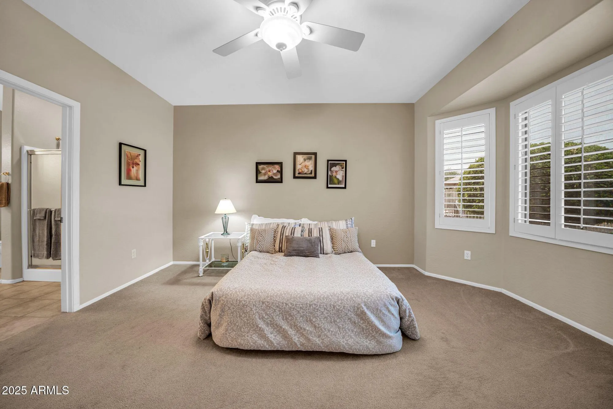 Property Slideshow image 19 of 37 | 17556 w calistoga dr, Surprise, AZ, 85387