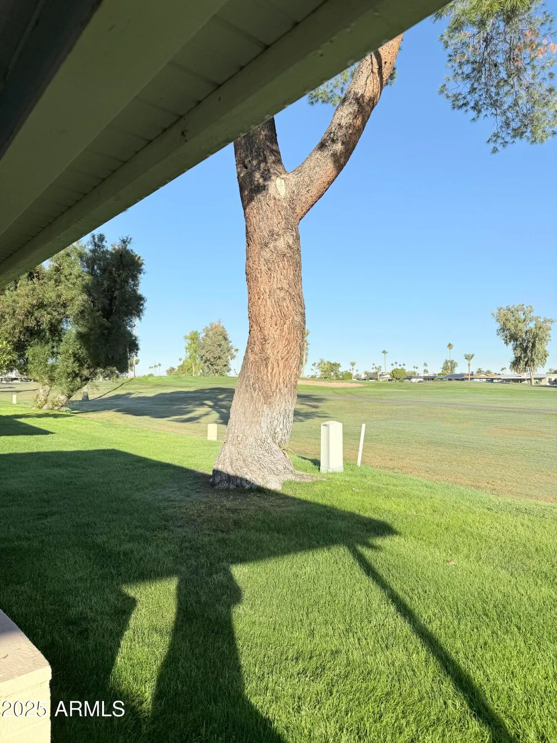 Property Slideshow image 43 of 49 | 10904 w cameo dr, Sun City, AZ, 85351