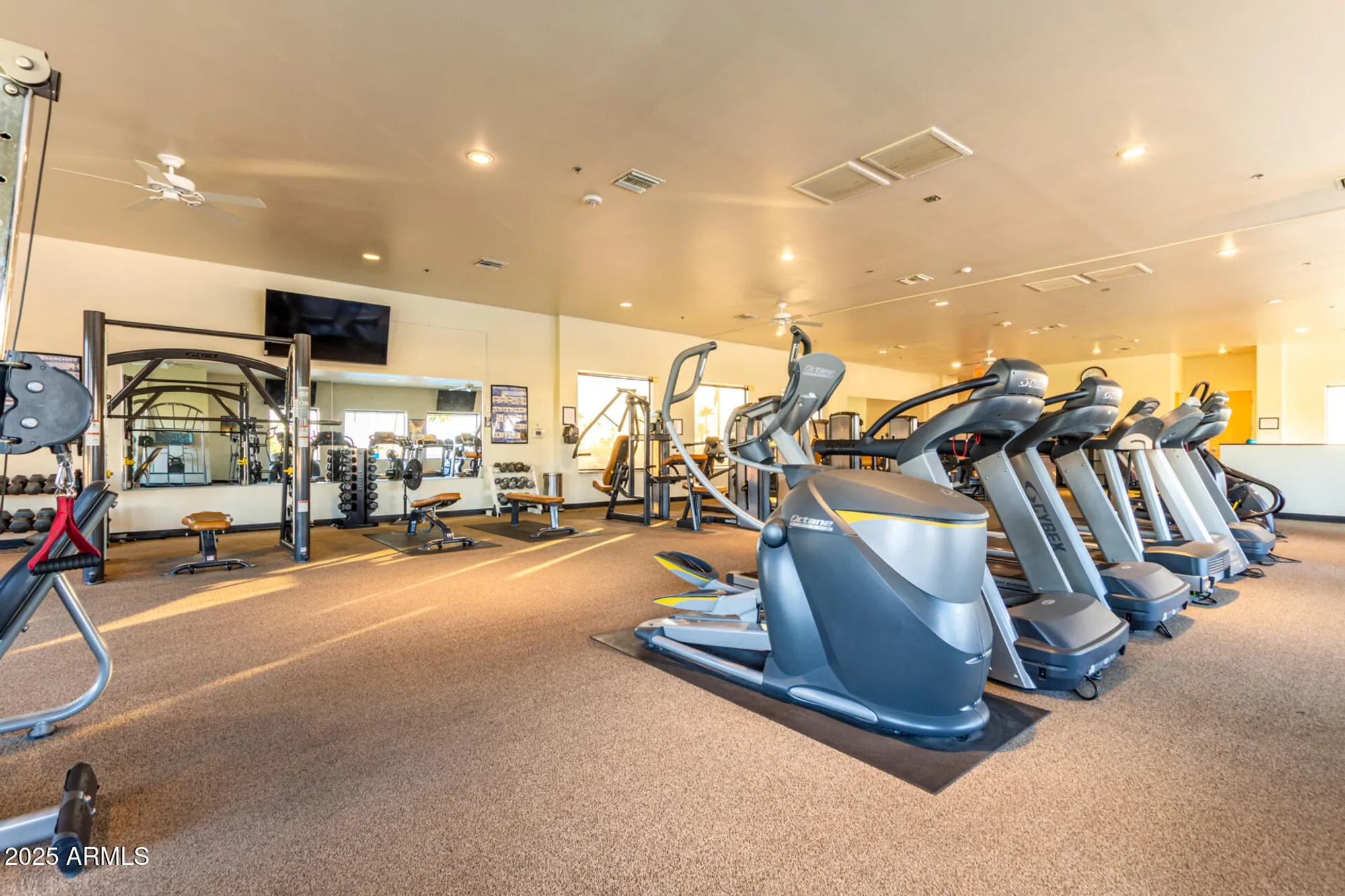 Property Slideshow image 39 of 67 | 2716 n lema dr, Mesa, AZ, 85215