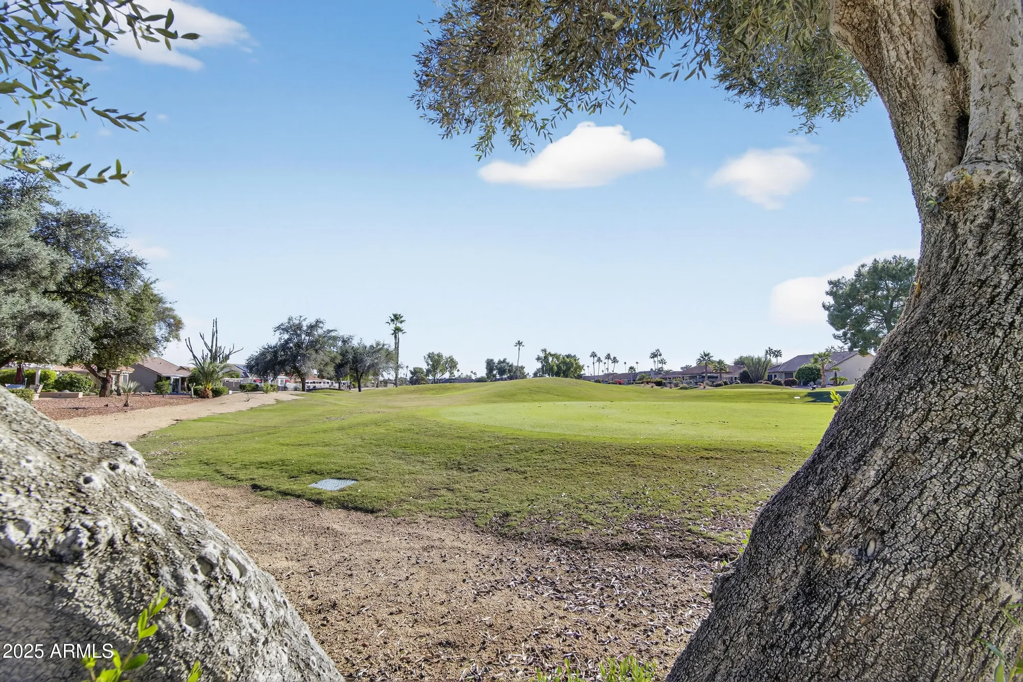 Property Slideshow image 58 of 62 | 20618 n 142nd ave, Sun City West, AZ, 85375