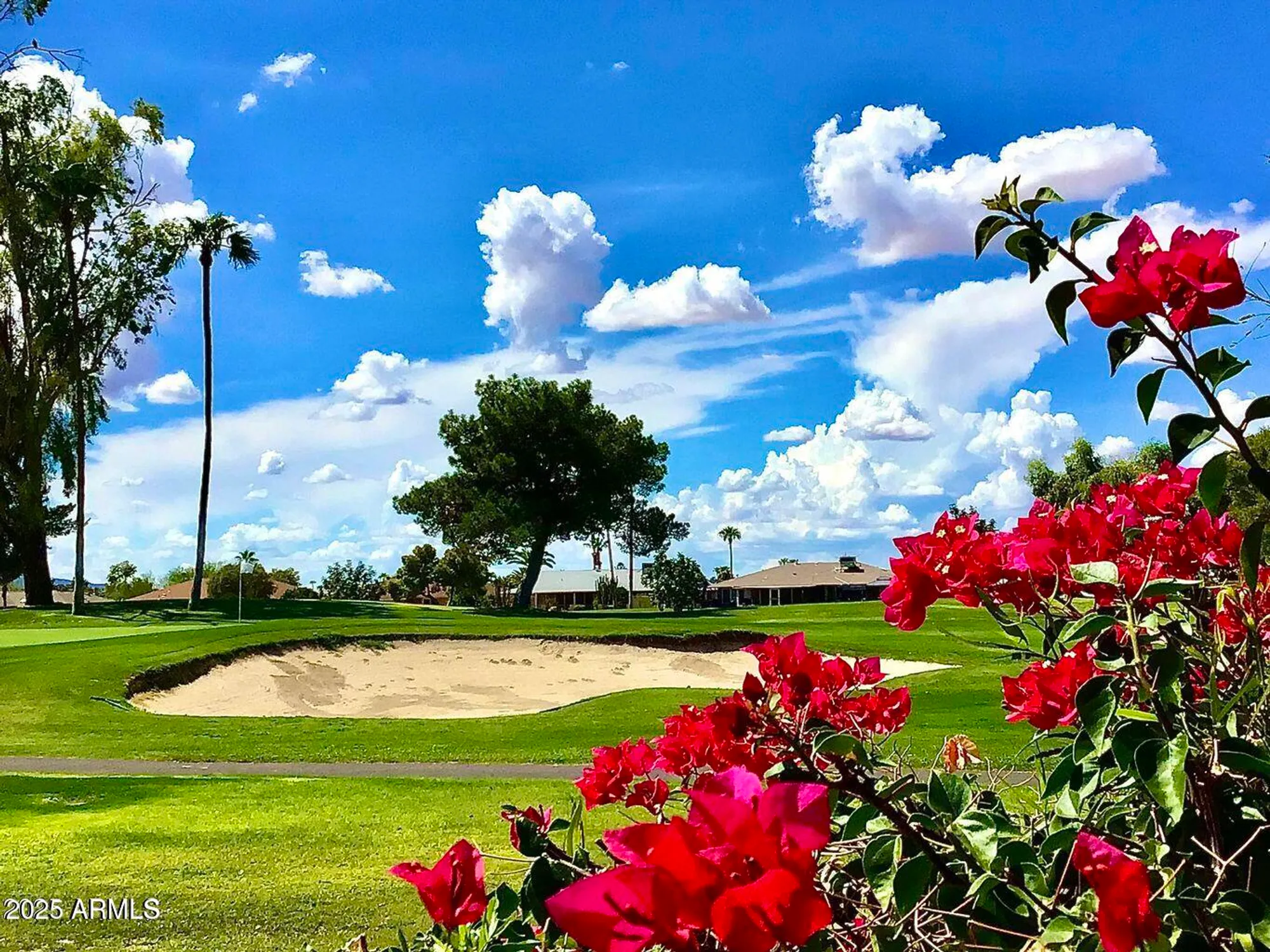 Property Slideshow image 35 of 43 | 12810 w ashwood dr, Sun City West, AZ, 85375