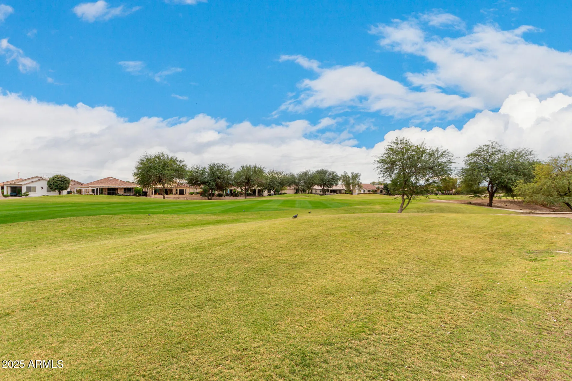 Property Slideshow image 39 of 84 | 696 s 226th dr, Buckeye, AZ, 85326