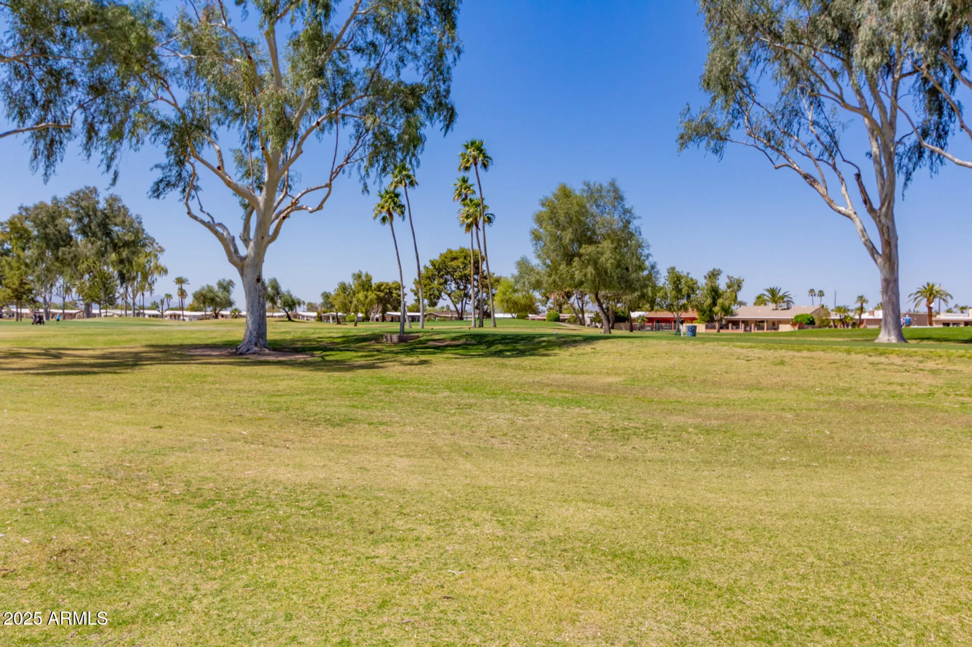 Property Slideshow image 41 of 66 | 9422 e lakeside dr, Sun Lakes, AZ, 85248