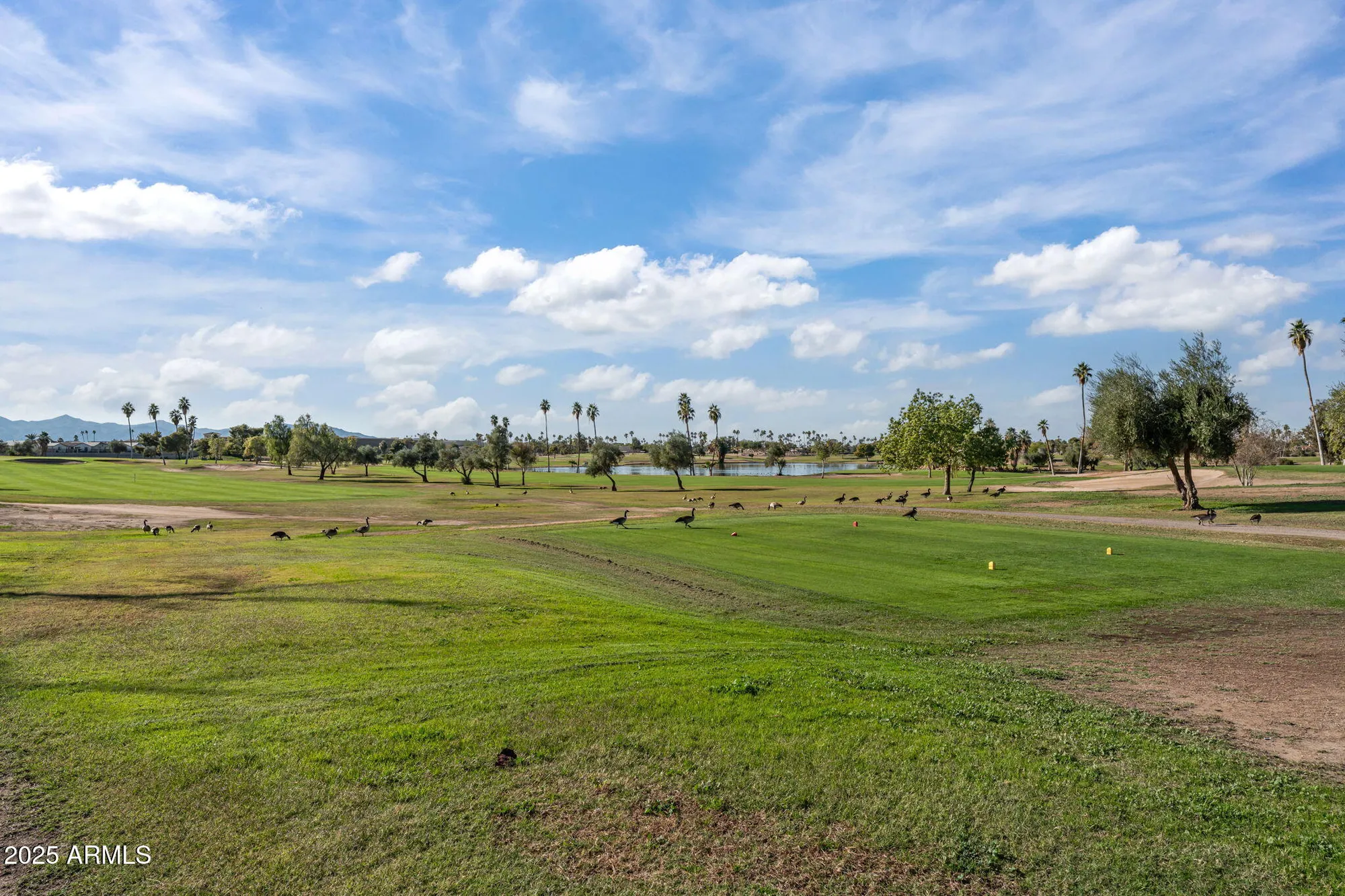 Property Slideshow image 25 of 38 | 19614 n star ridge dr, Sun City West, AZ, 85375