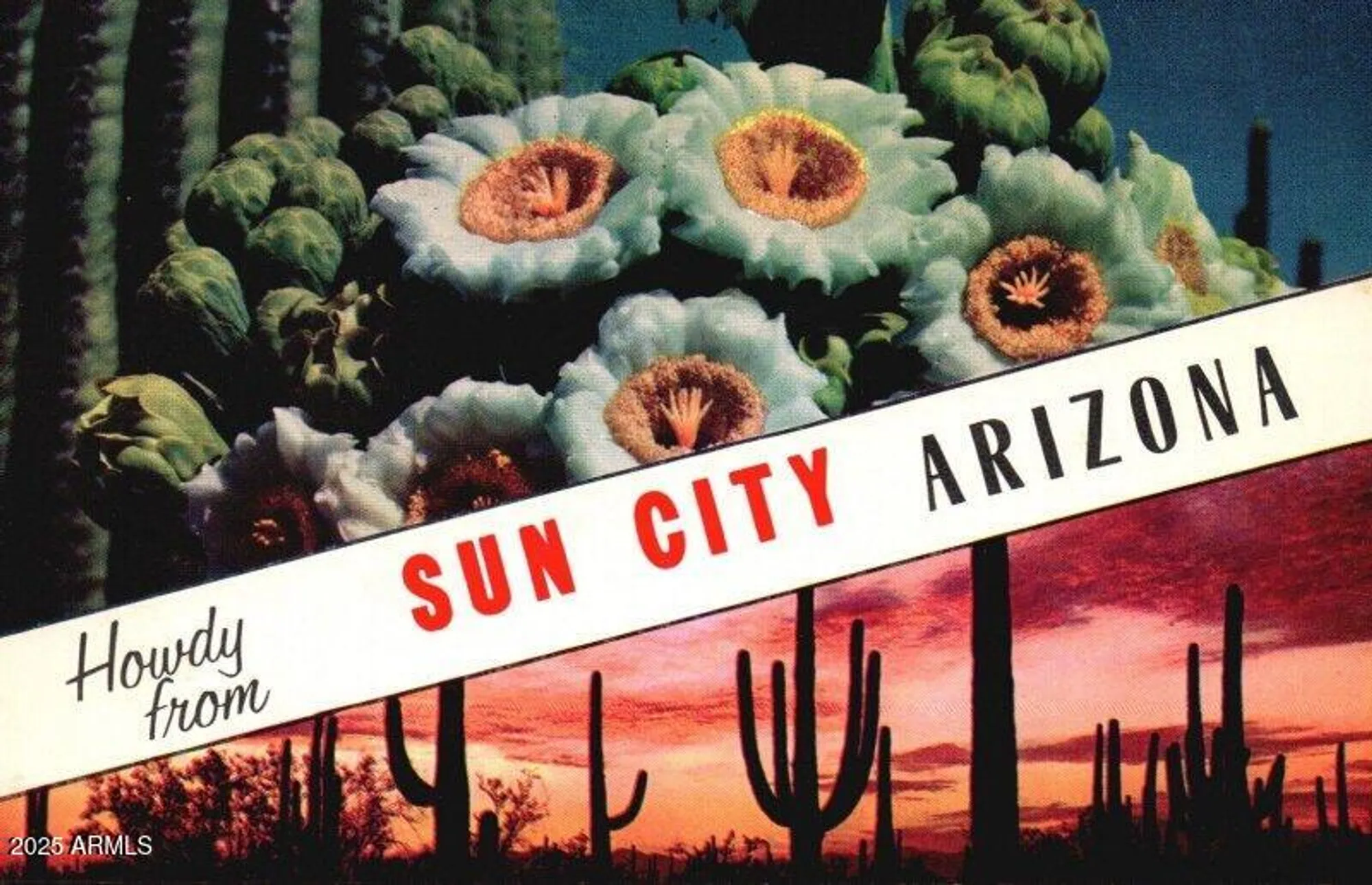 Property Slideshow image 26 of 32 | 10902 w welk dr, Sun City, AZ, 85373