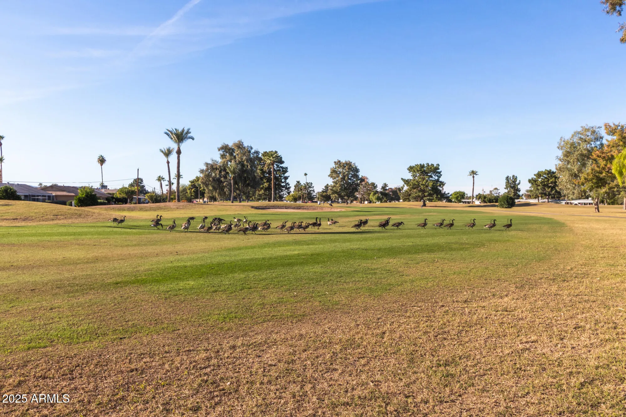 Property Slideshow image 33 of 45 | 10027 w lakeview cir, Sun City, AZ, 85351